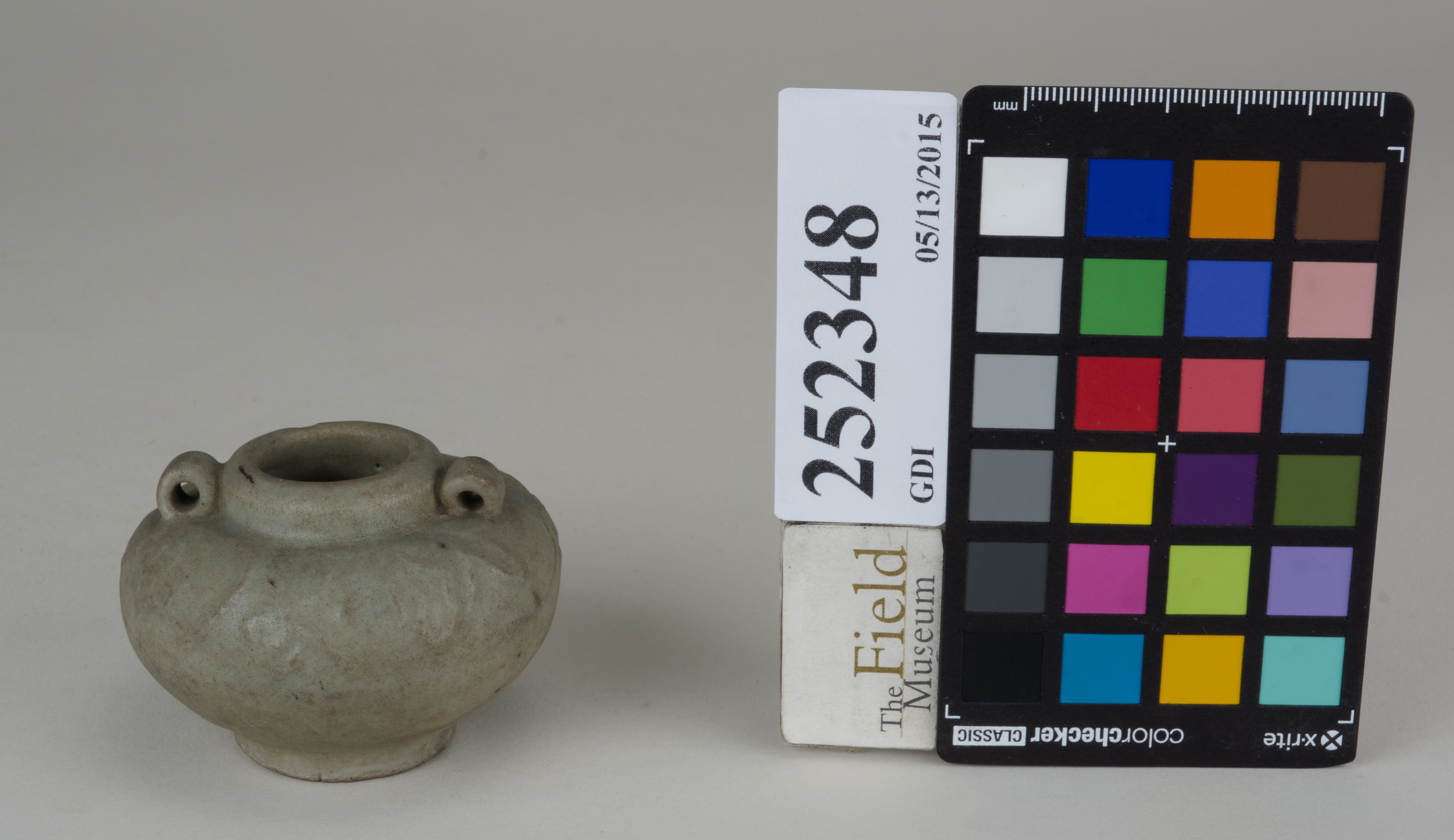 FrontAngle (c) Field Museum of Natural History - CC BY-NC 4.0