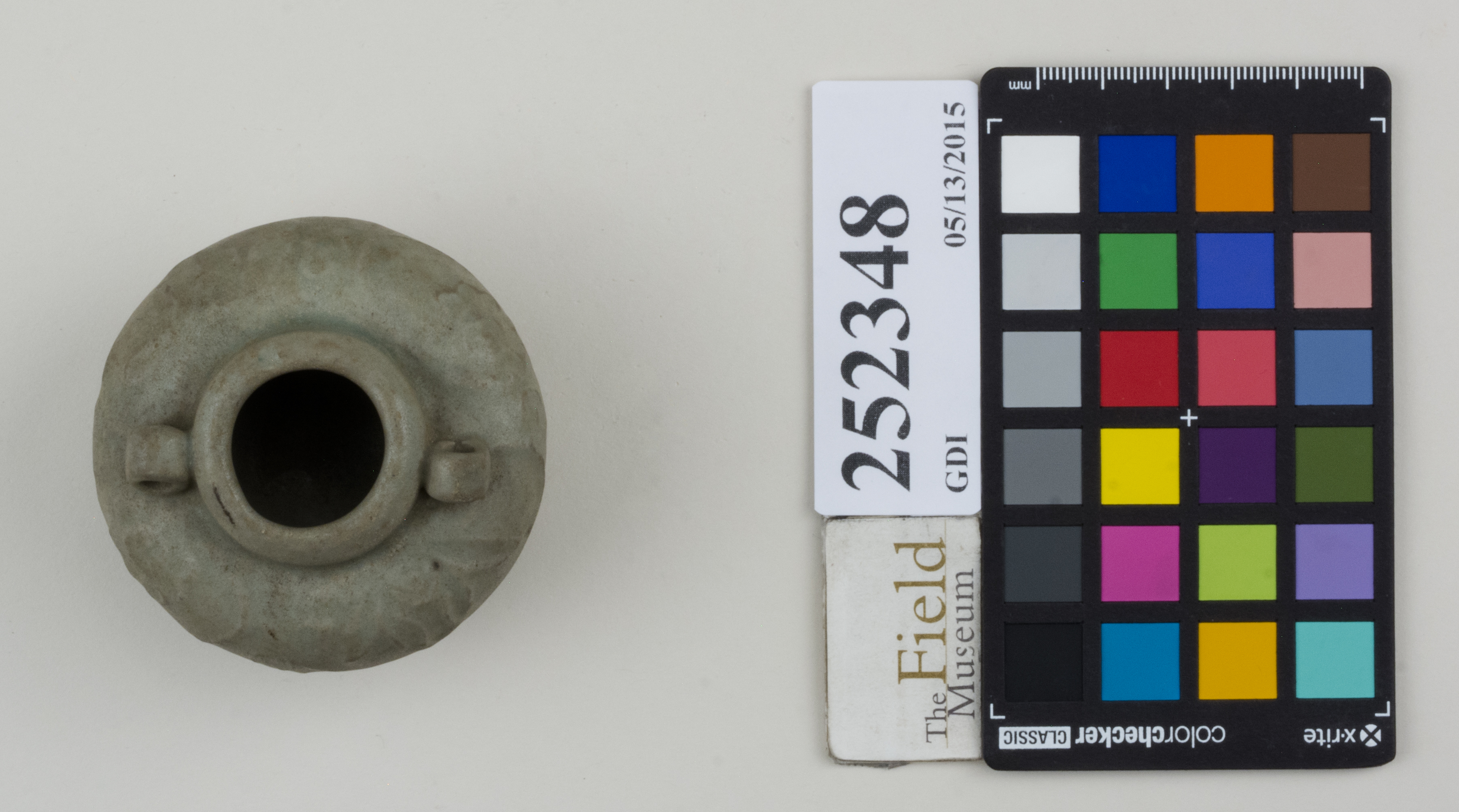 Top (c) Field Museum of Natural History - CC BY-NC 4.0