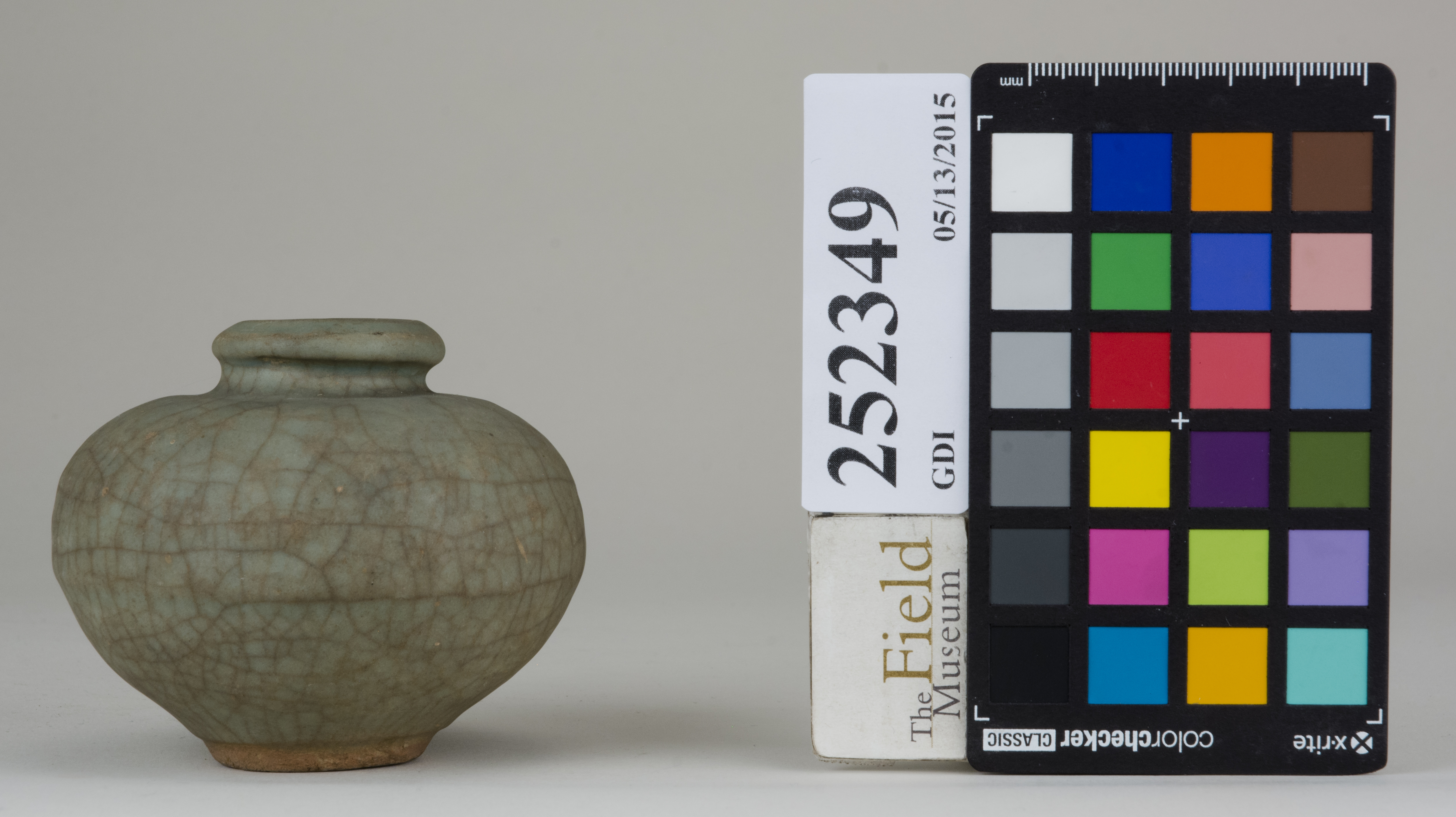 reference image, back (c) Field Museum of Natural History - CC BY-NC 4.0