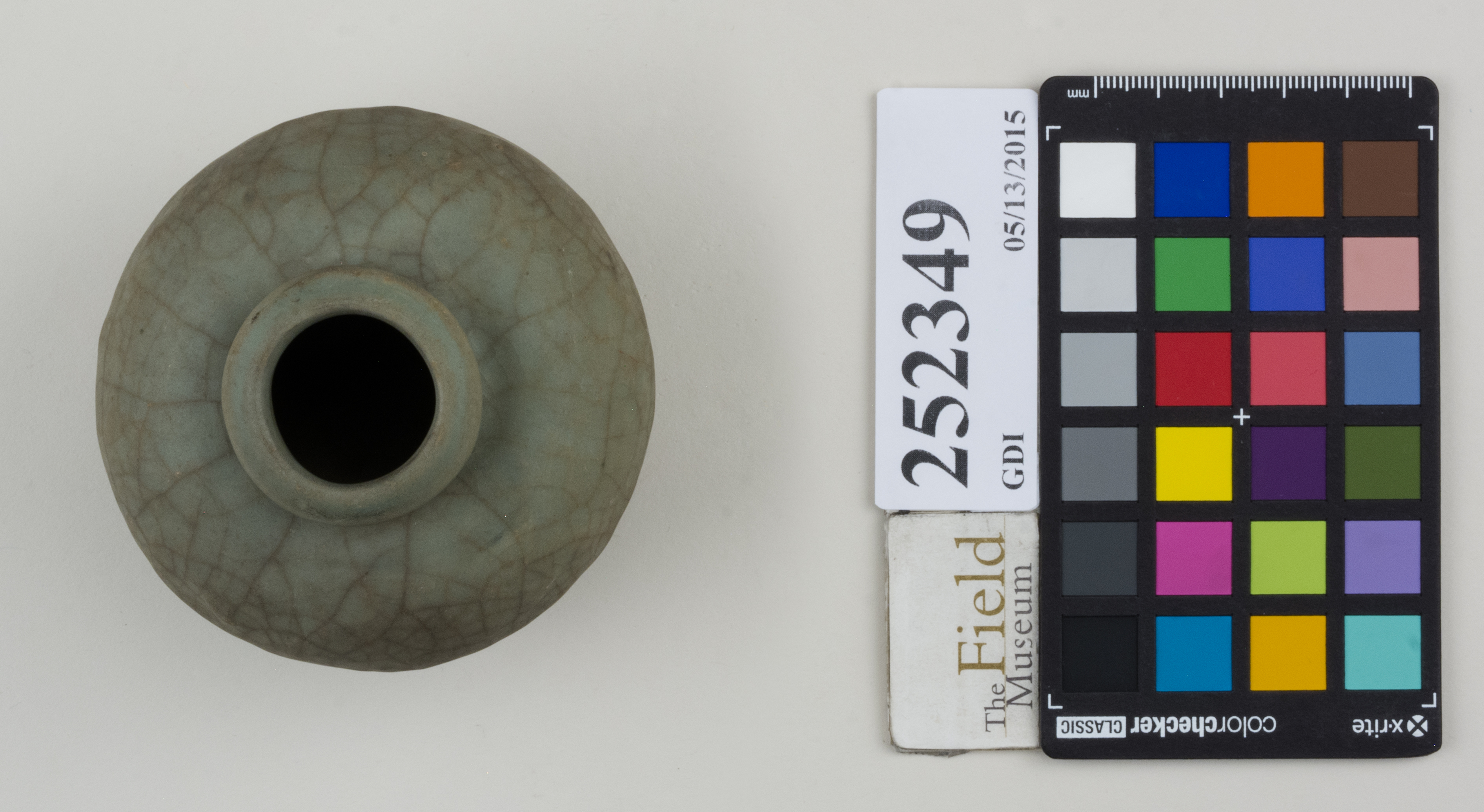 Top (c) Field Museum of Natural History - CC BY-NC 4.0