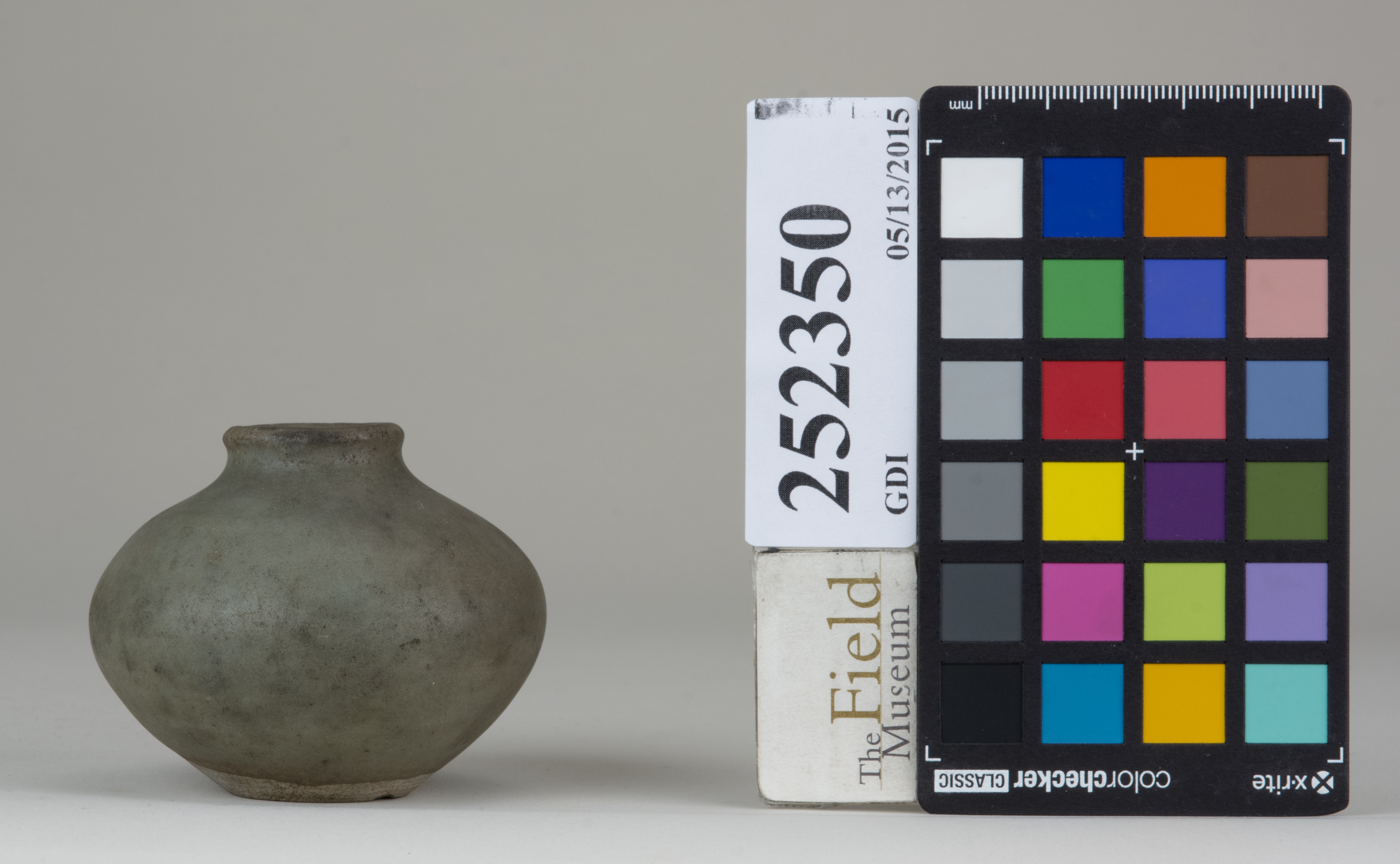 reference image, back (c) Field Museum of Natural History - CC BY-NC 4.0