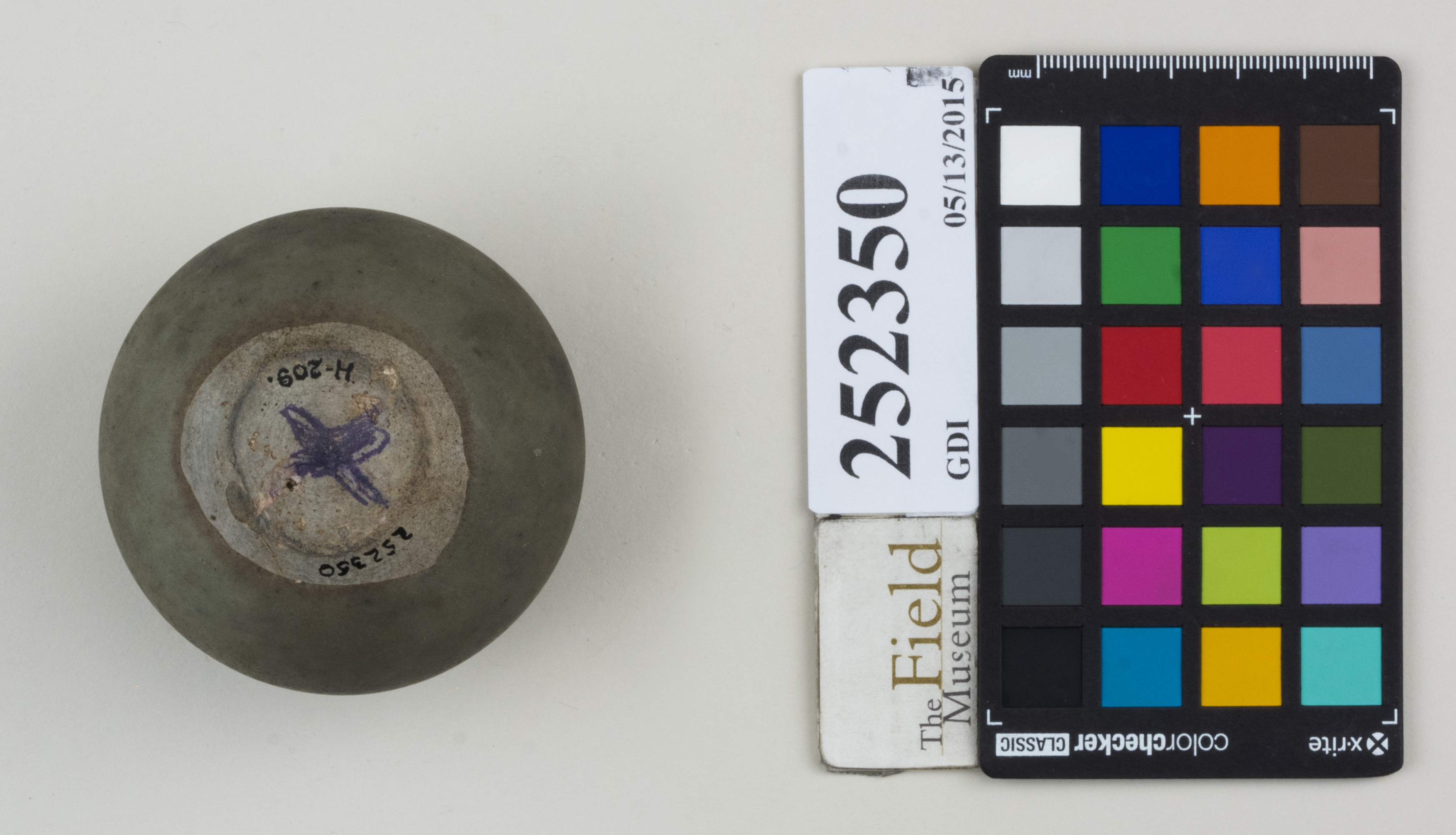 Bottom (c) Field Museum of Natural History - CC BY-NC 4.0