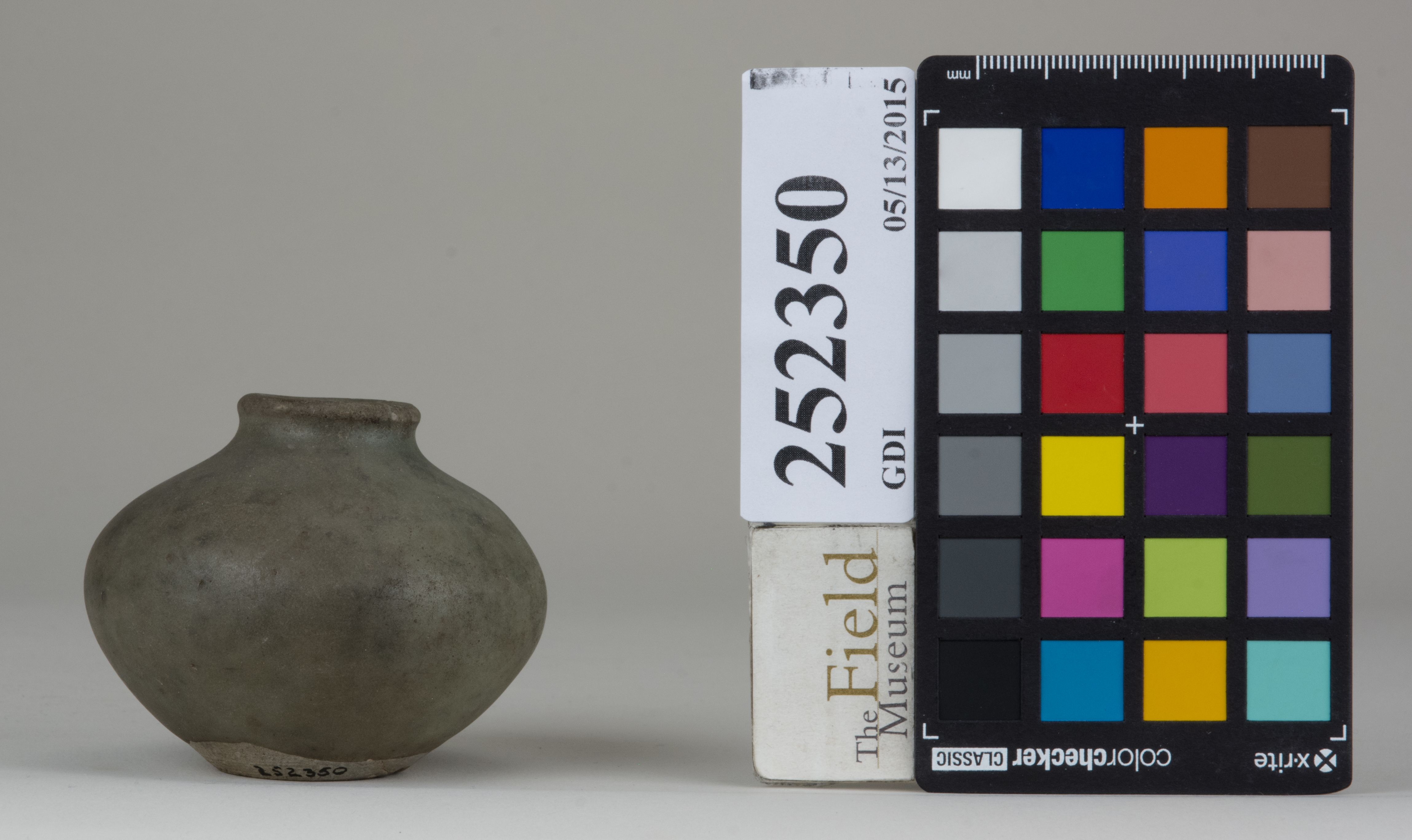 Front (c) Field Museum of Natural History - CC BY-NC 4.0