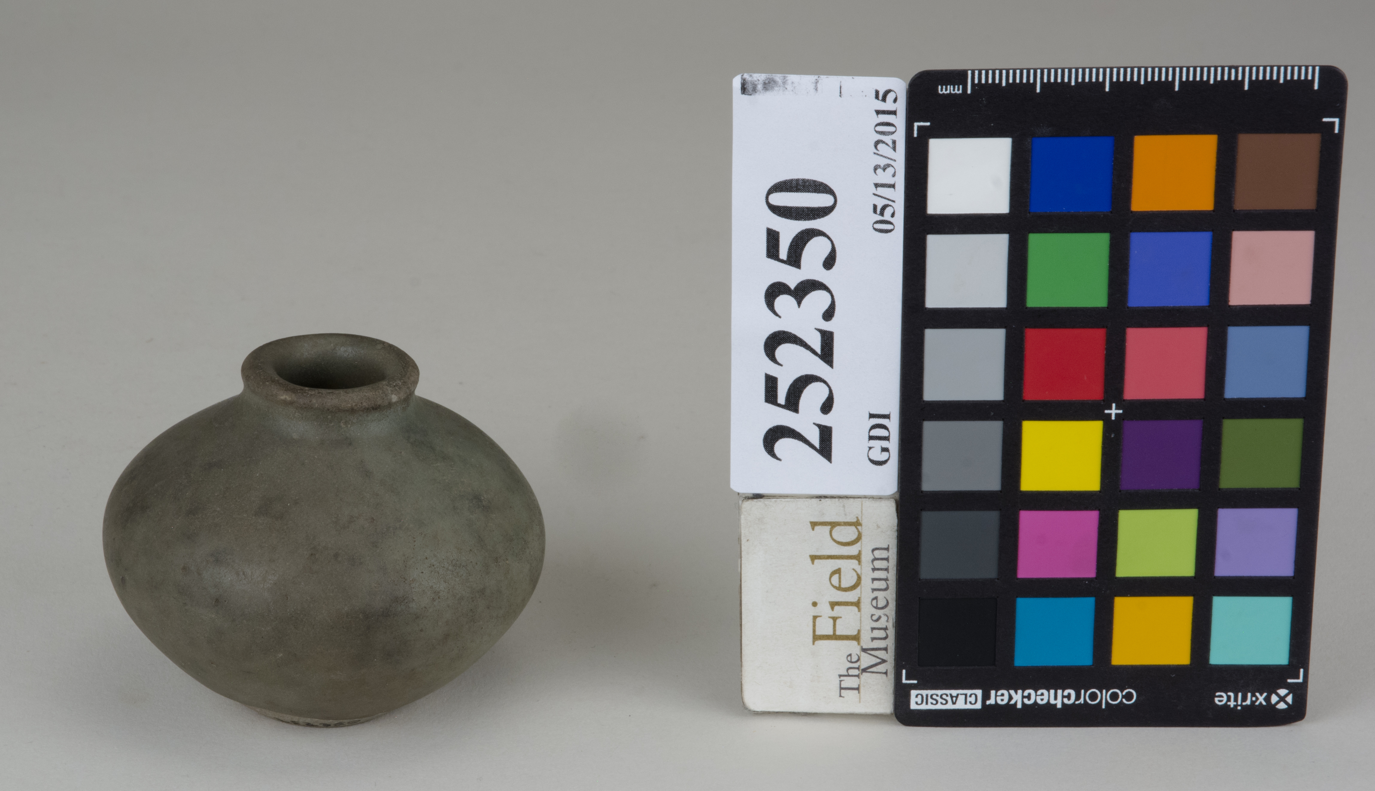 FrontAngle (c) Field Museum of Natural History - CC BY-NC 4.0