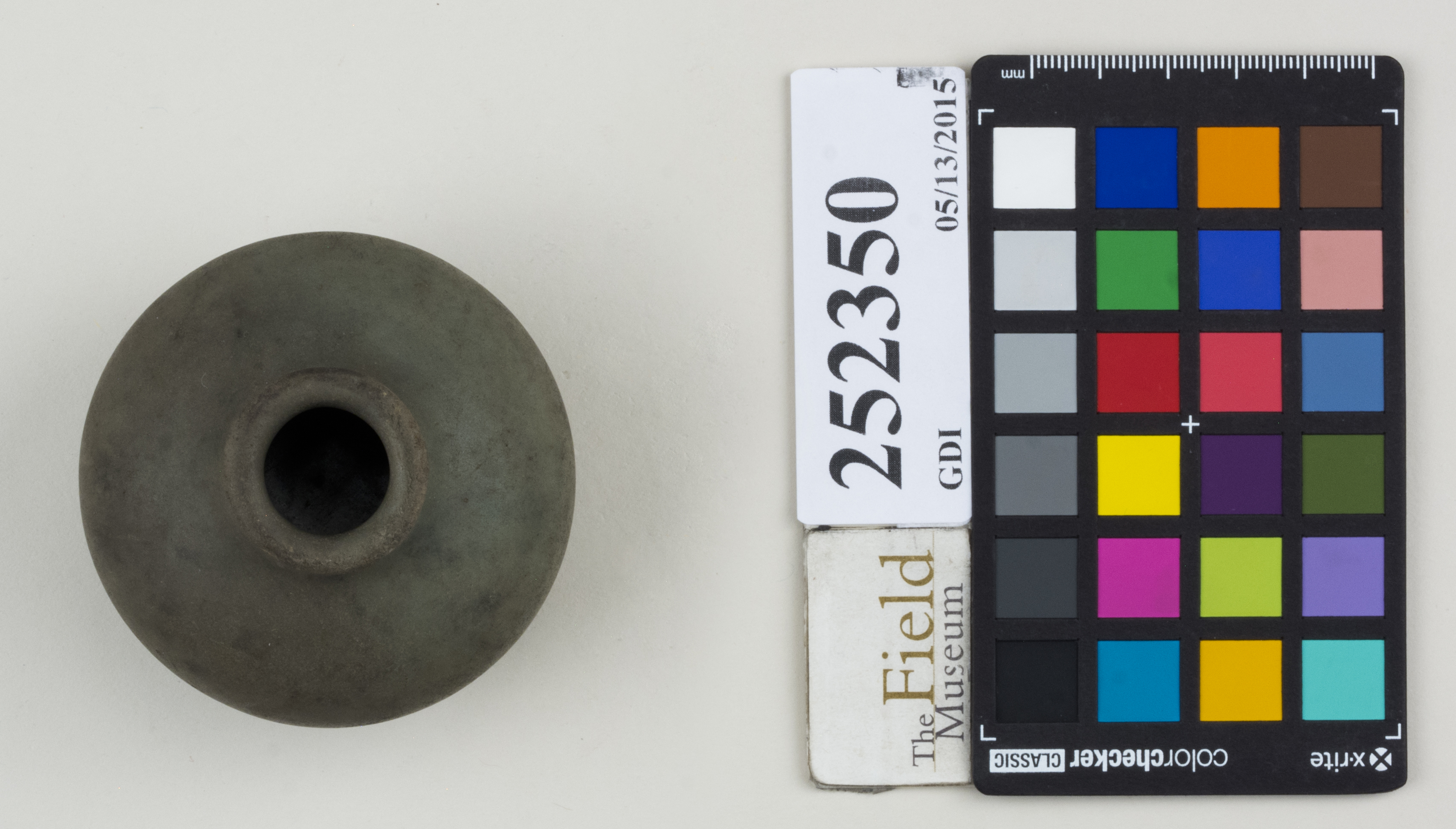 Top (c) Field Museum of Natural History - CC BY-NC 4.0