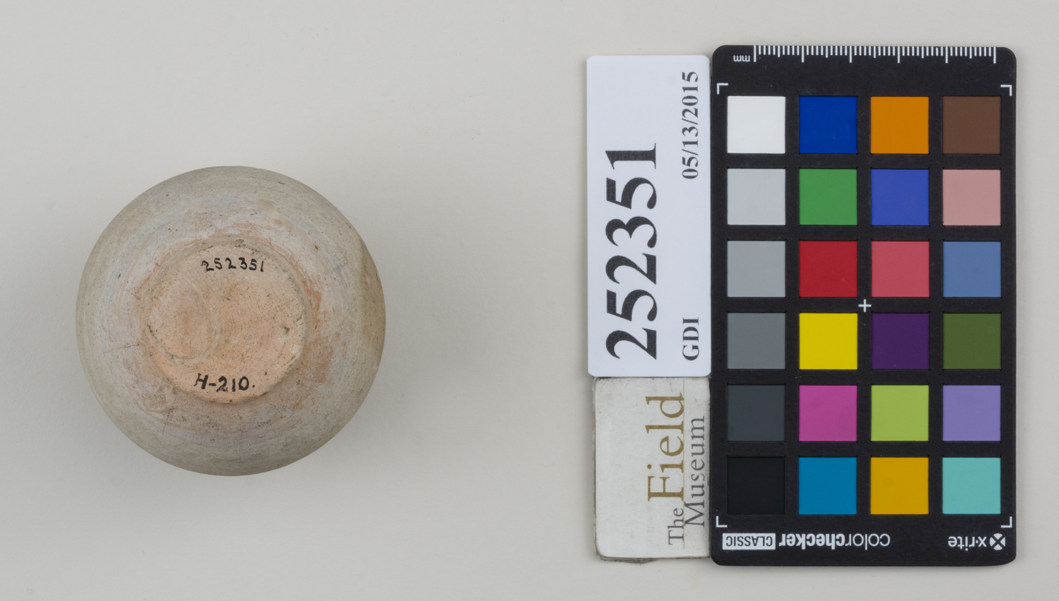 Bottom (c) Field Museum of Natural History - CC BY-NC 4.0