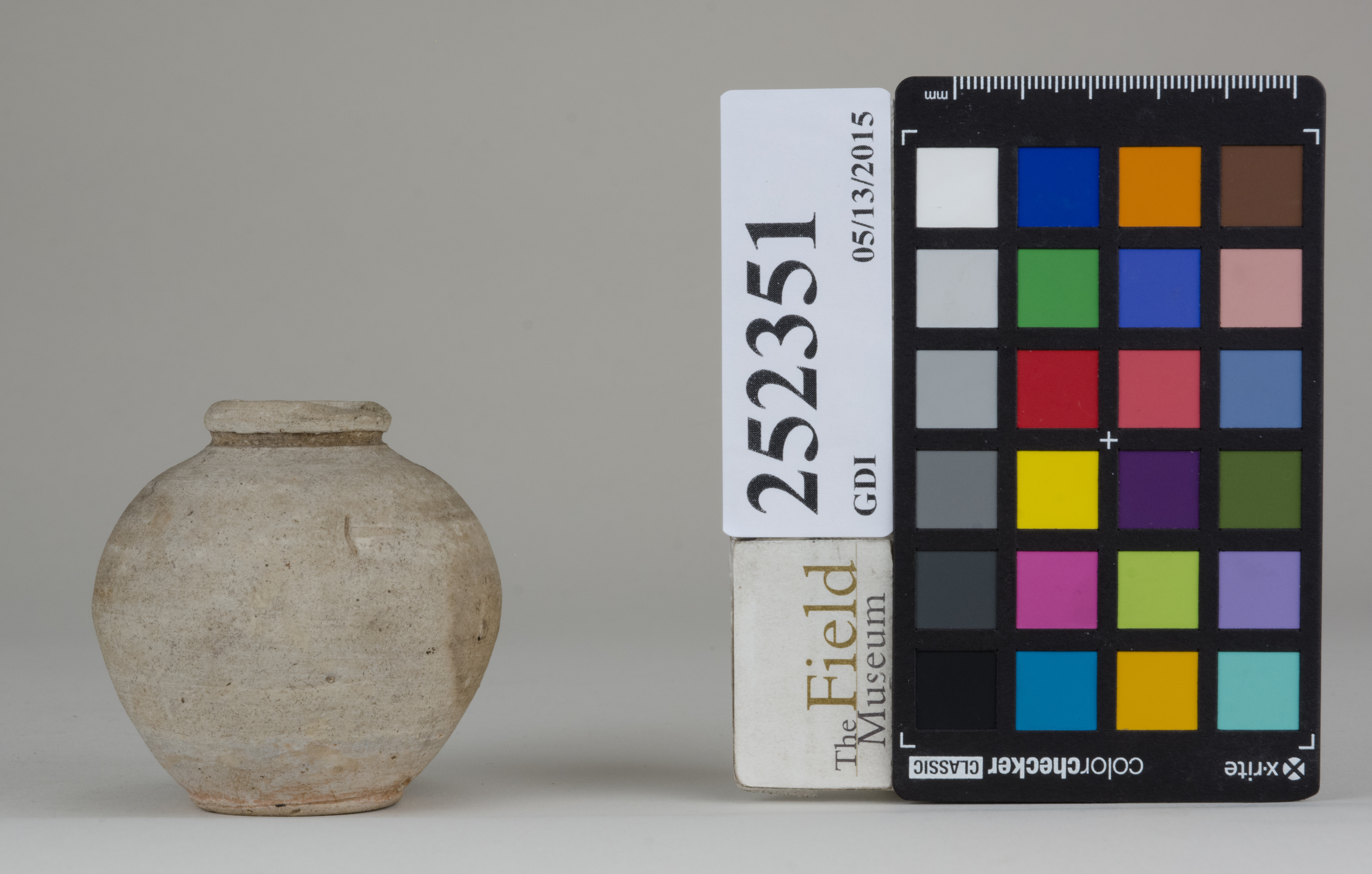 Front (c) Field Museum of Natural History - CC BY-NC 4.0