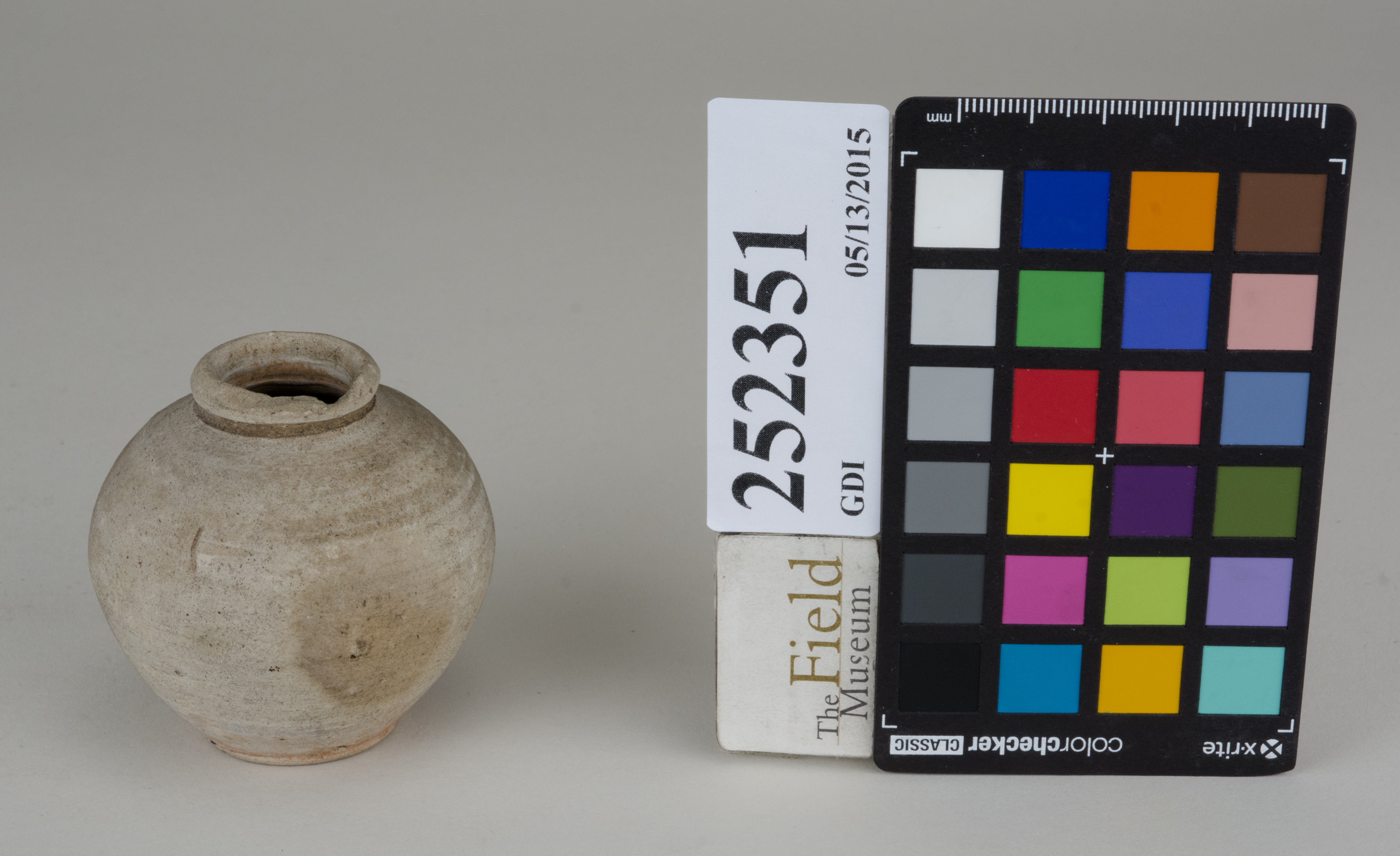 FrontAngle (c) Field Museum of Natural History - CC BY-NC 4.0