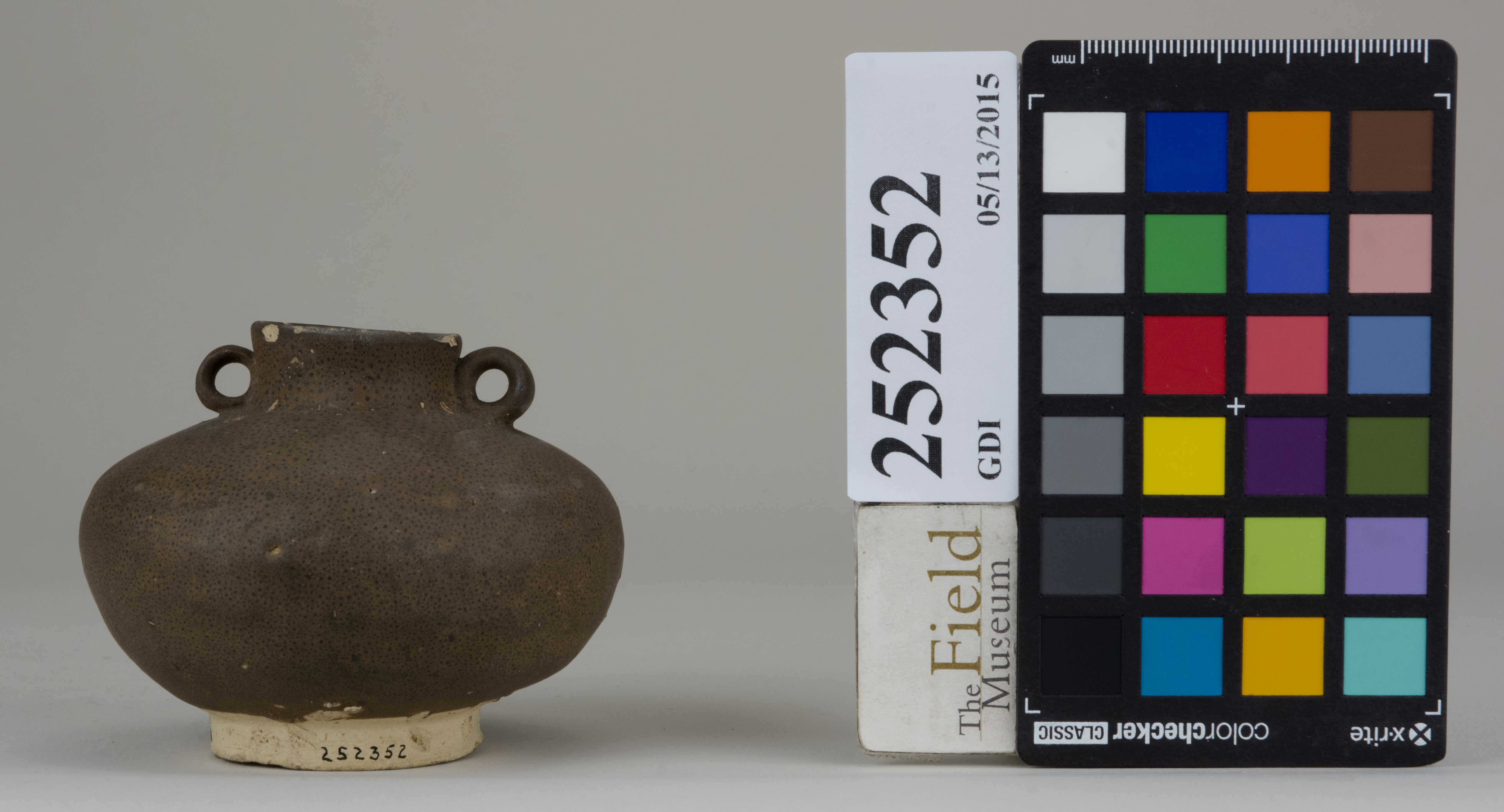 Front (c) Field Museum of Natural History - CC BY-NC 4.0