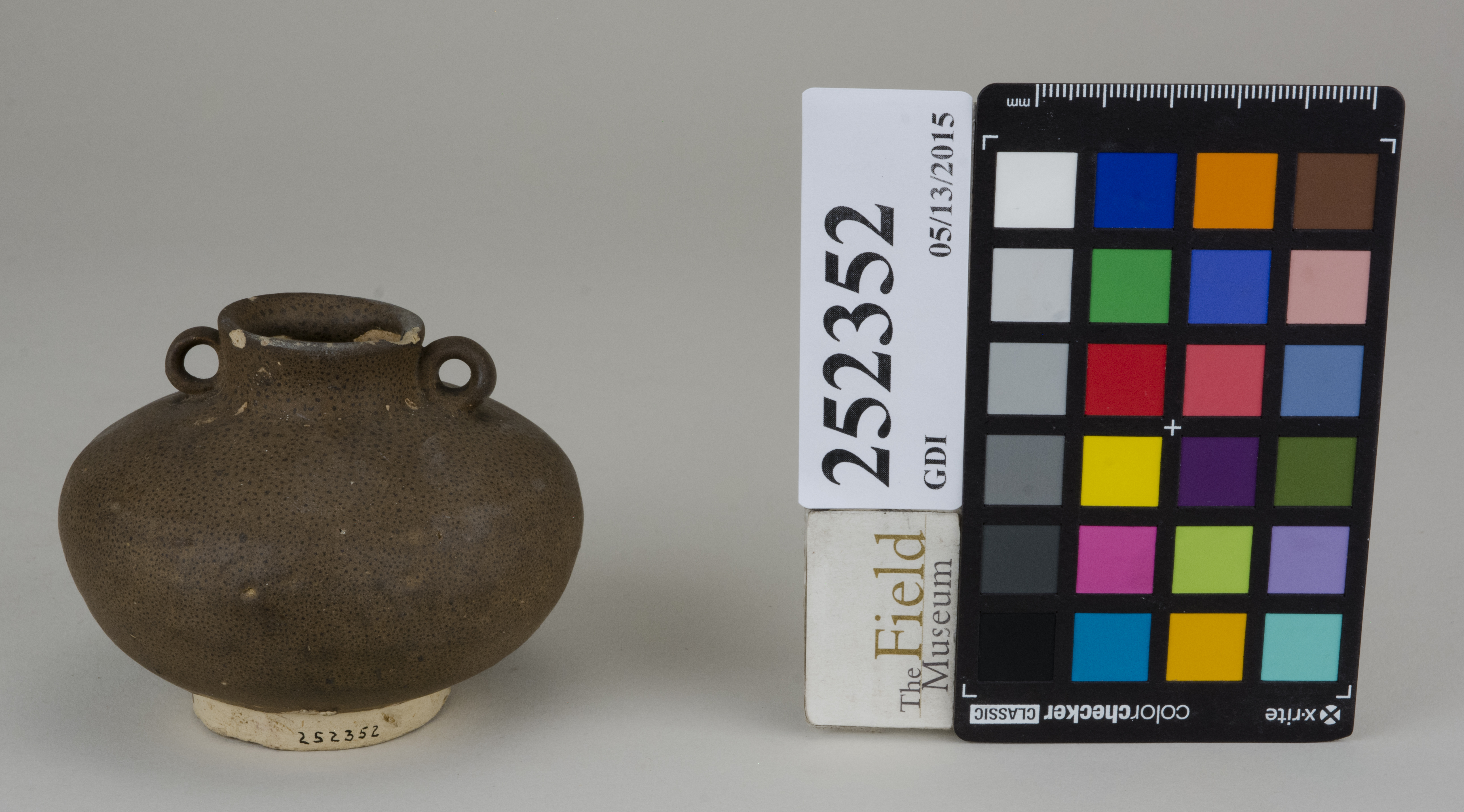 FrontAngle (c) Field Museum of Natural History - CC BY-NC 4.0