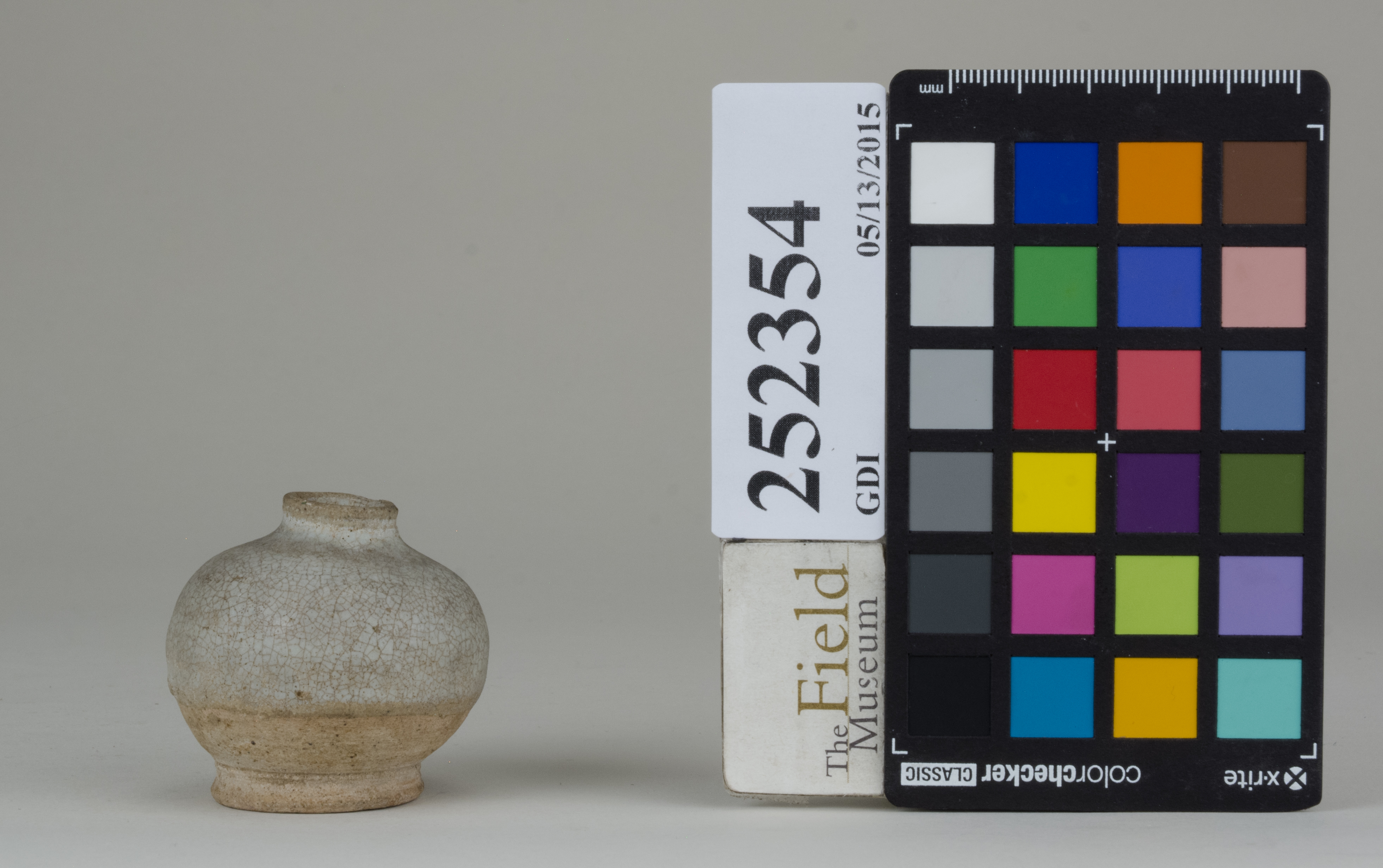 reference image, back (c) Field Museum of Natural History - CC BY-NC 4.0