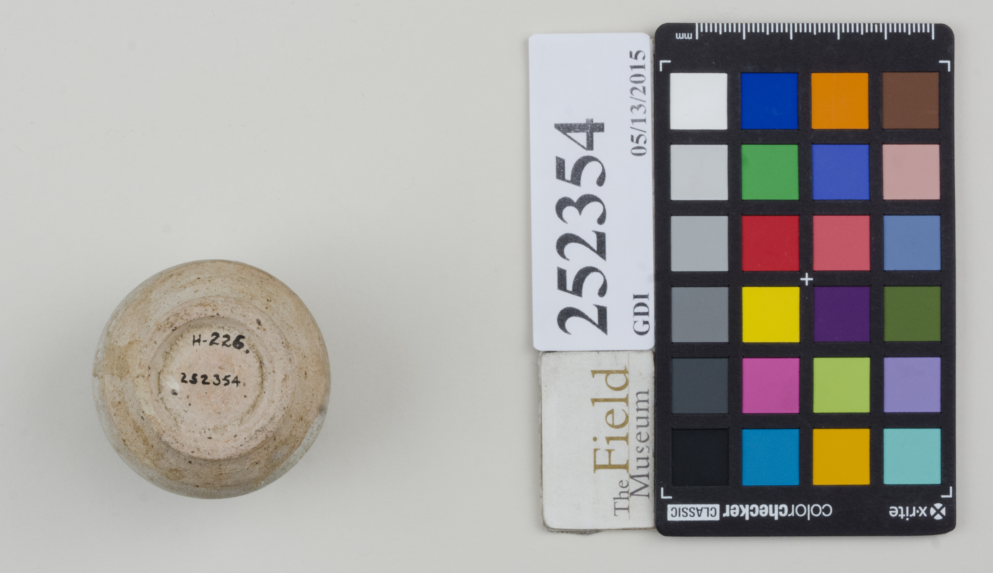 Bottom (c) Field Museum of Natural History - CC BY-NC 4.0