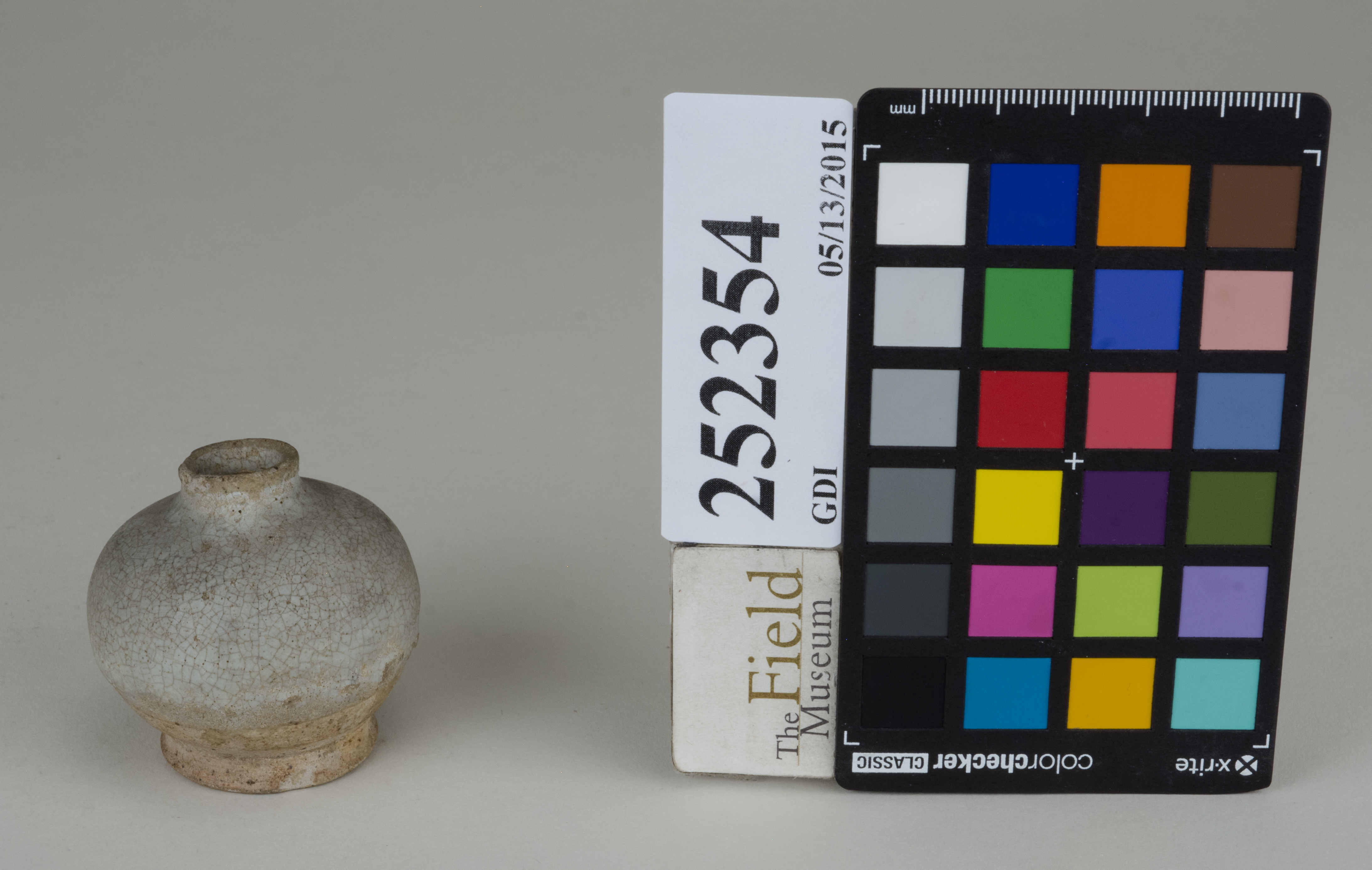 FrontAngle (c) Field Museum of Natural History - CC BY-NC 4.0