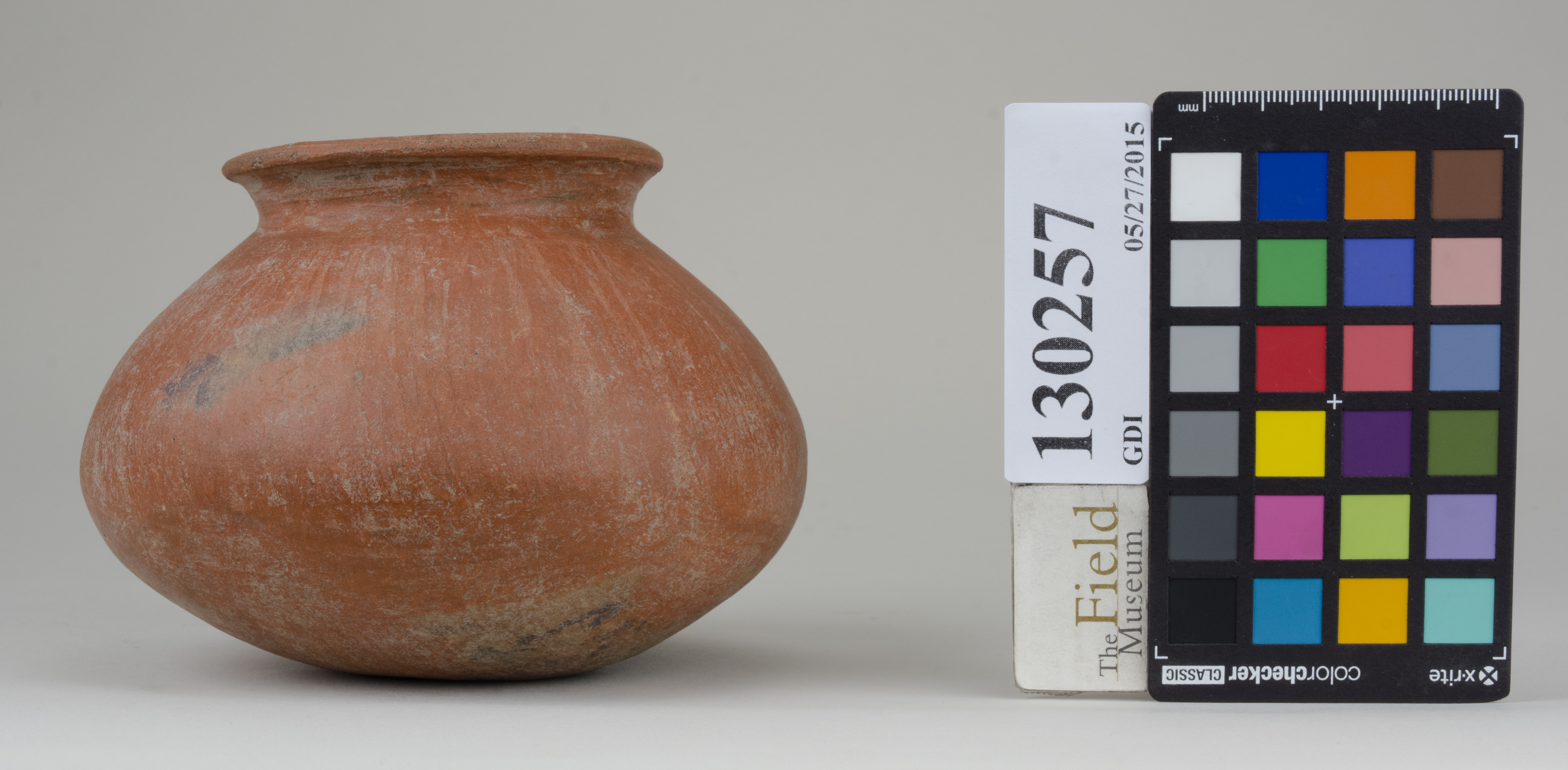 reference image, back (c) Field Museum of Natural History - CC BY-NC 4.0