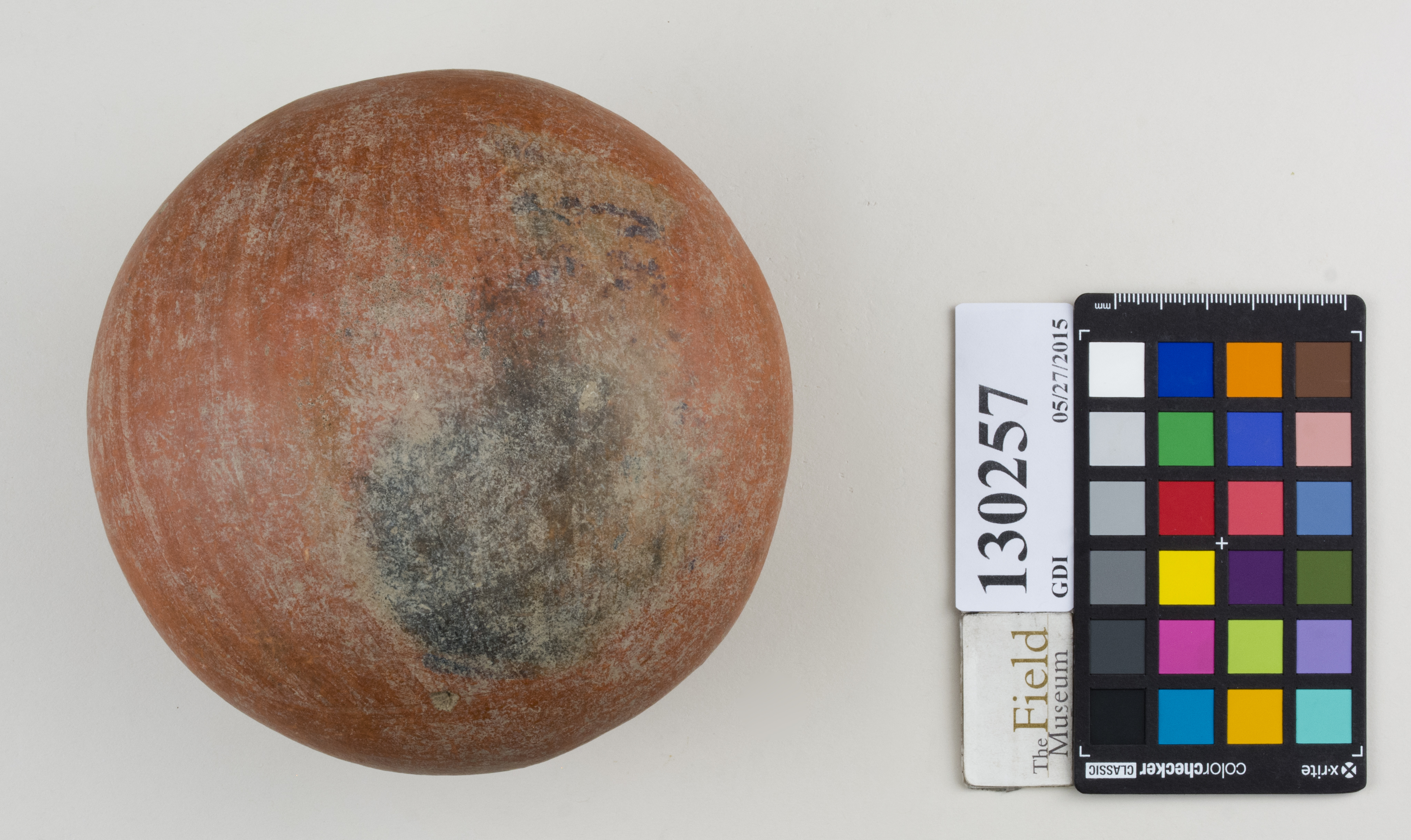 Bottom (c) Field Museum of Natural History - CC BY-NC 4.0