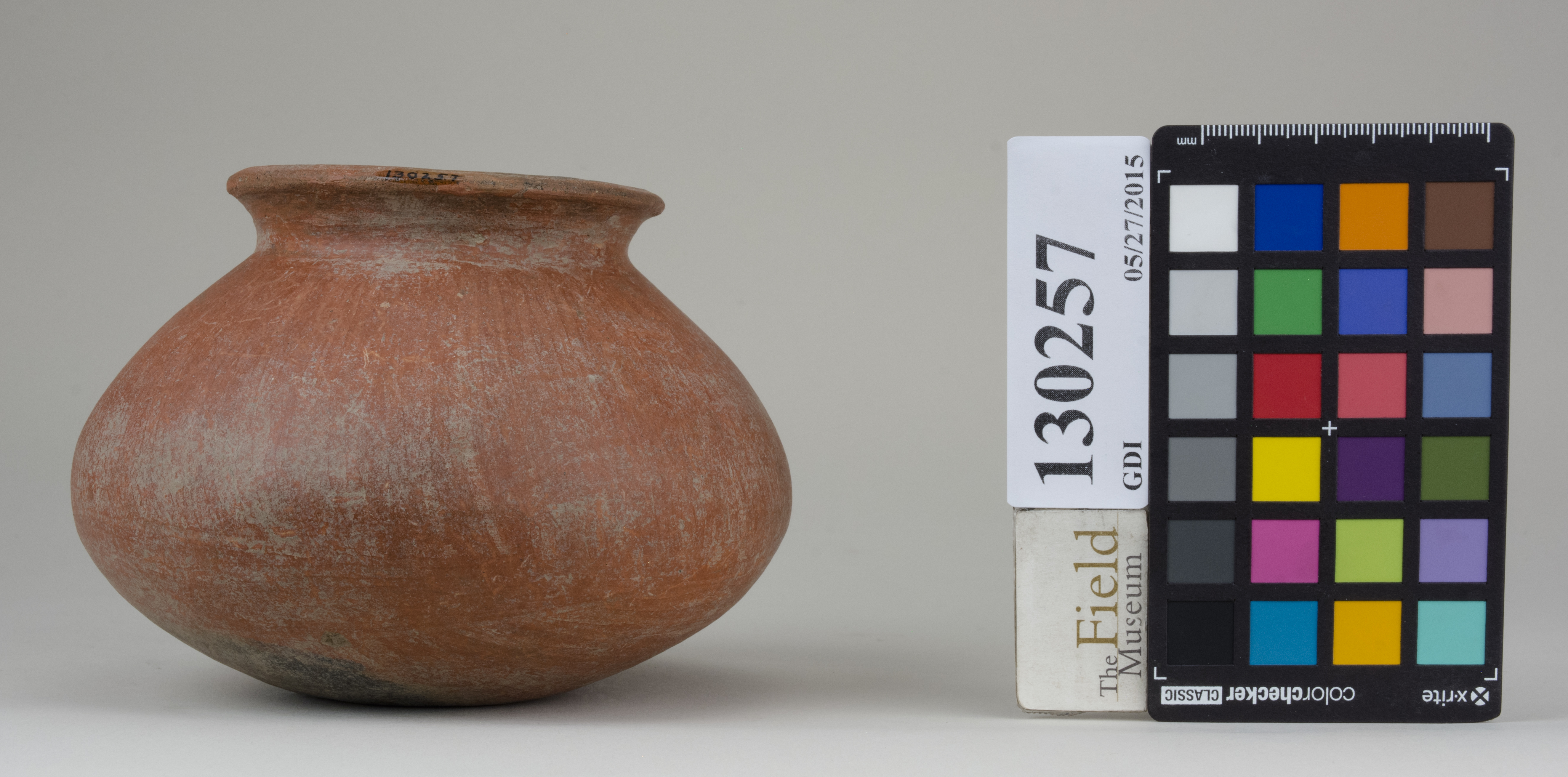 Front (c) Field Museum of Natural History - CC BY-NC 4.0