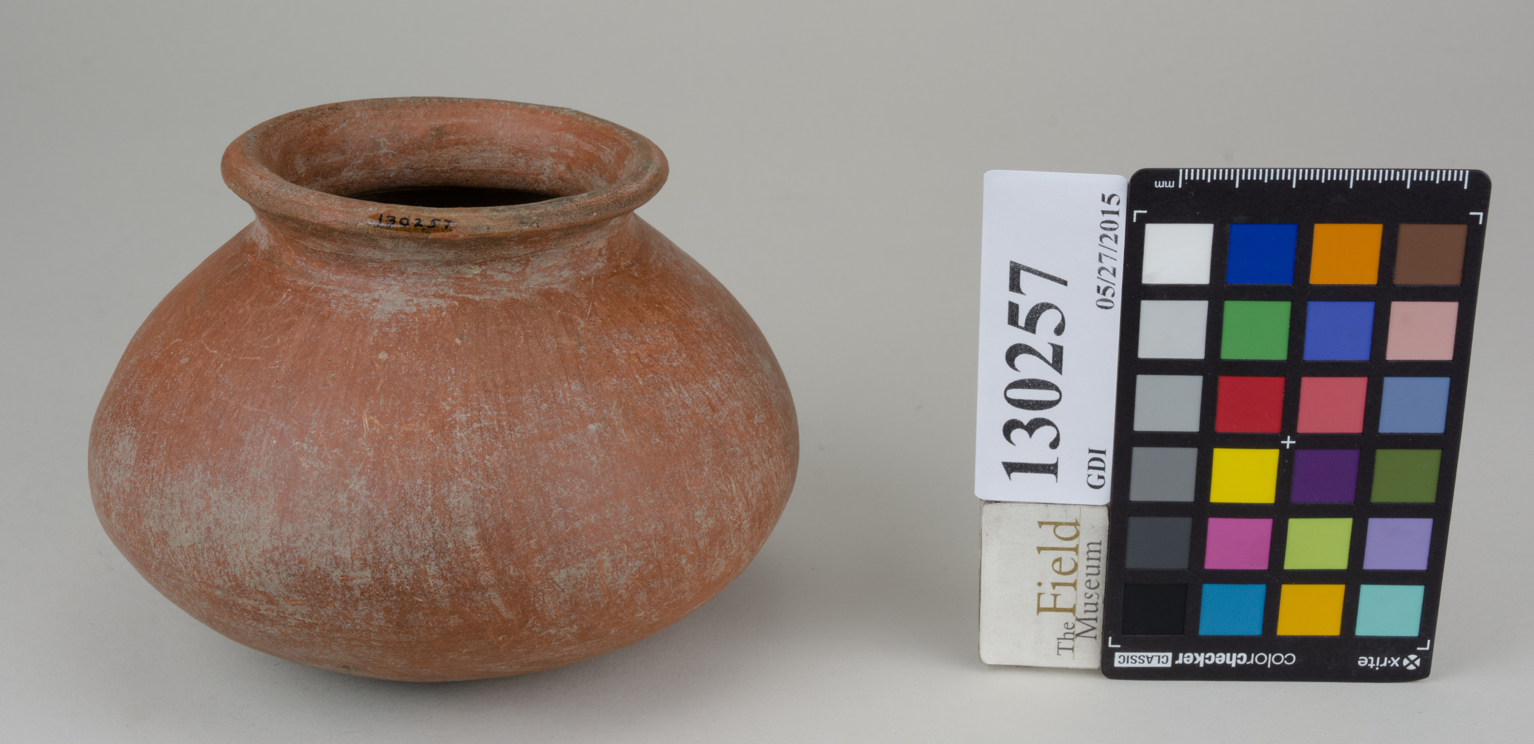 FrontAngle (c) Field Museum of Natural History - CC BY-NC 4.0