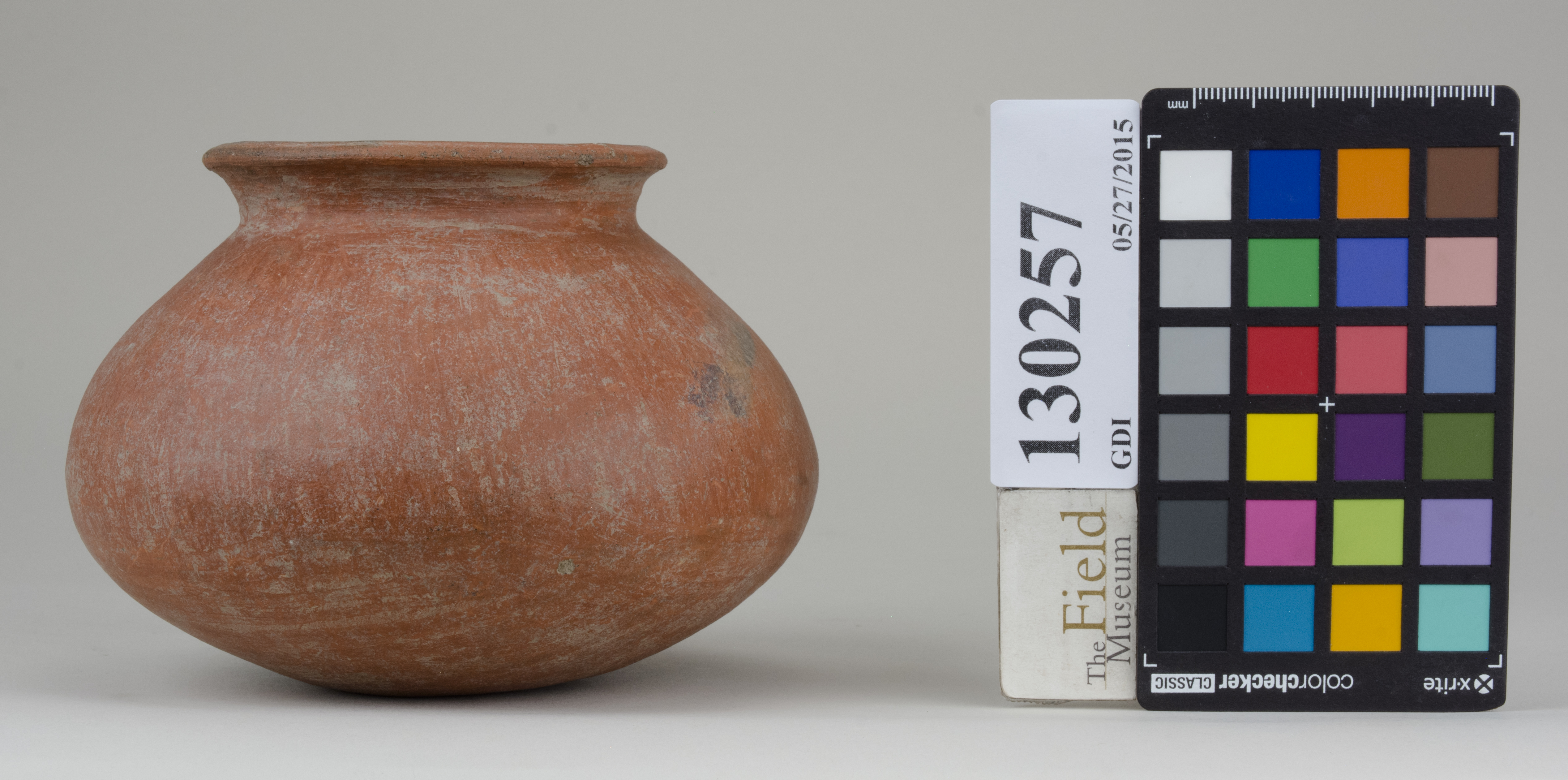 Left (c) Field Museum of Natural History - CC BY-NC 4.0