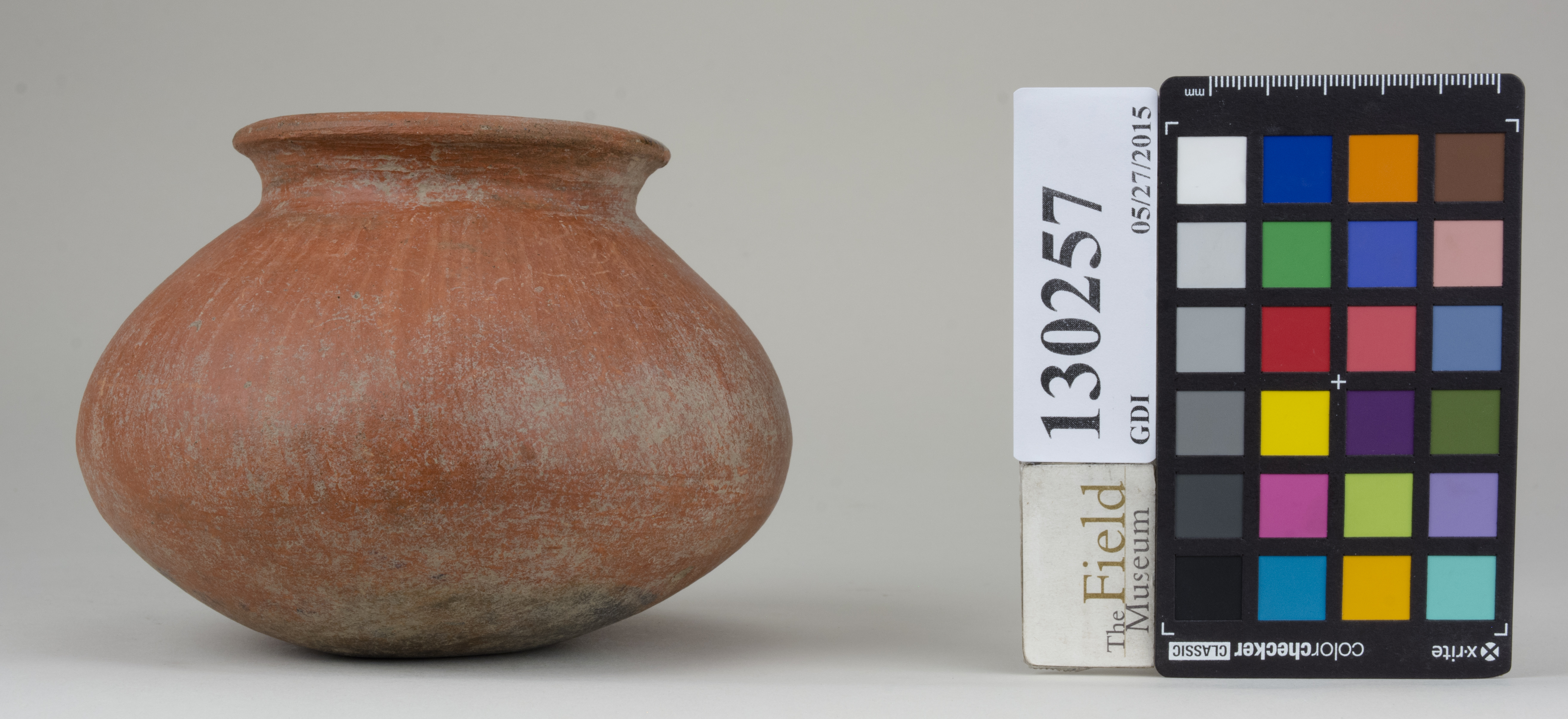 Right (c) Field Museum of Natural History - CC BY-NC 4.0