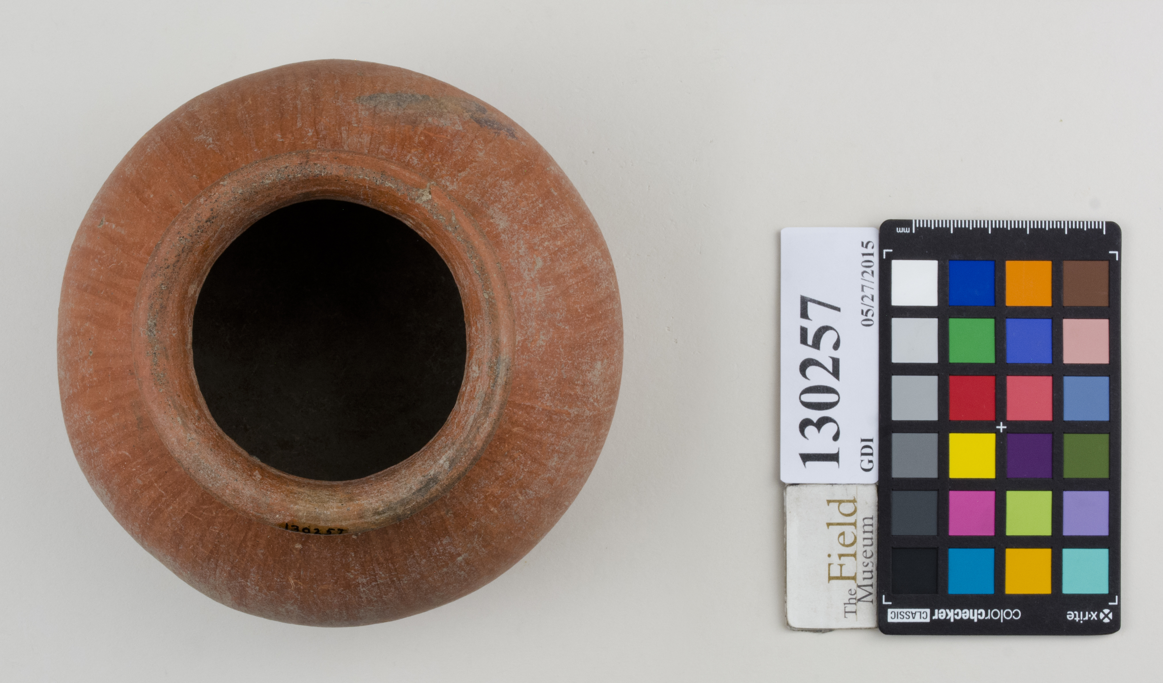 Top (c) Field Museum of Natural History - CC BY-NC 4.0