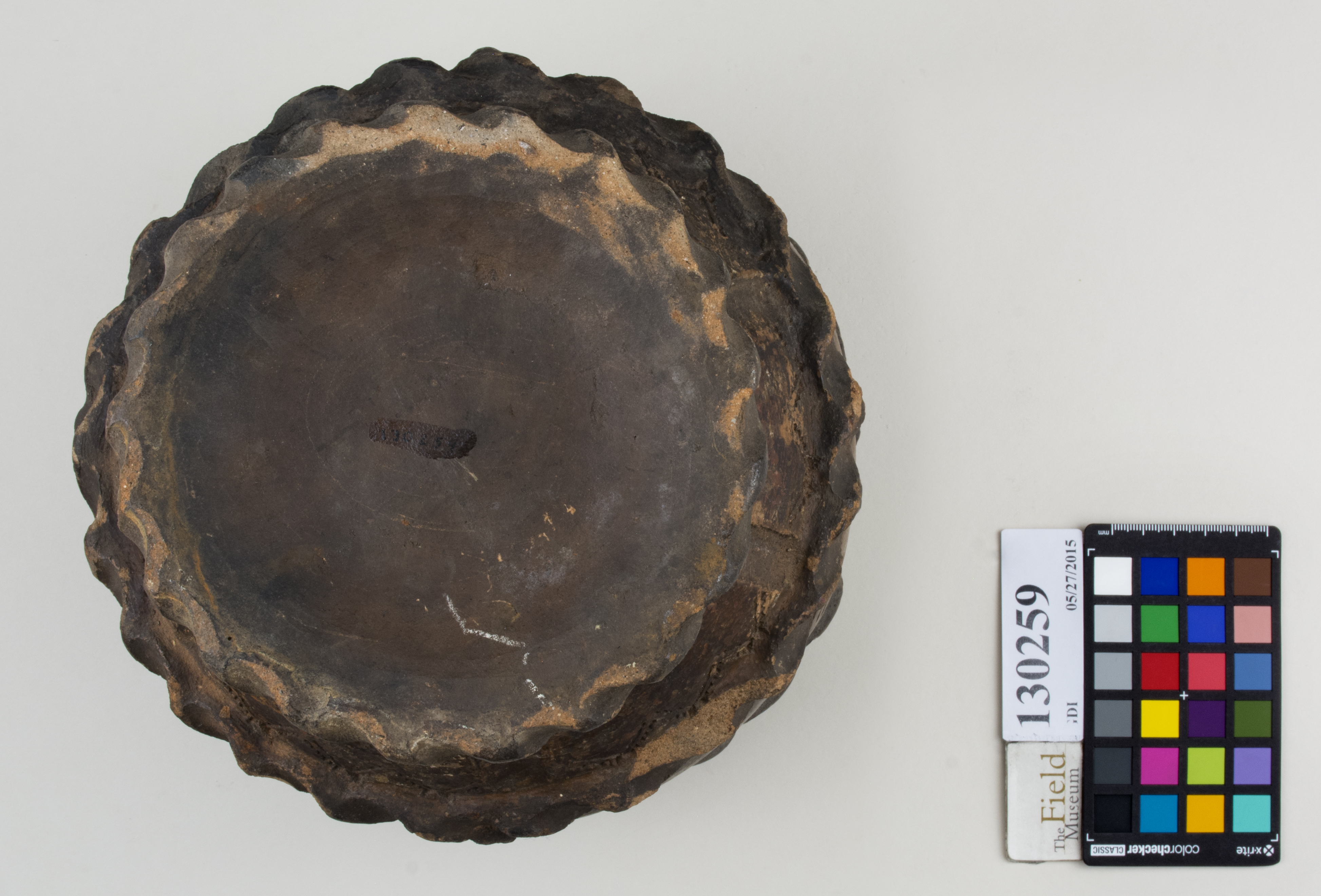 Bottom (c) Field Museum of Natural History - CC BY-NC 4.0