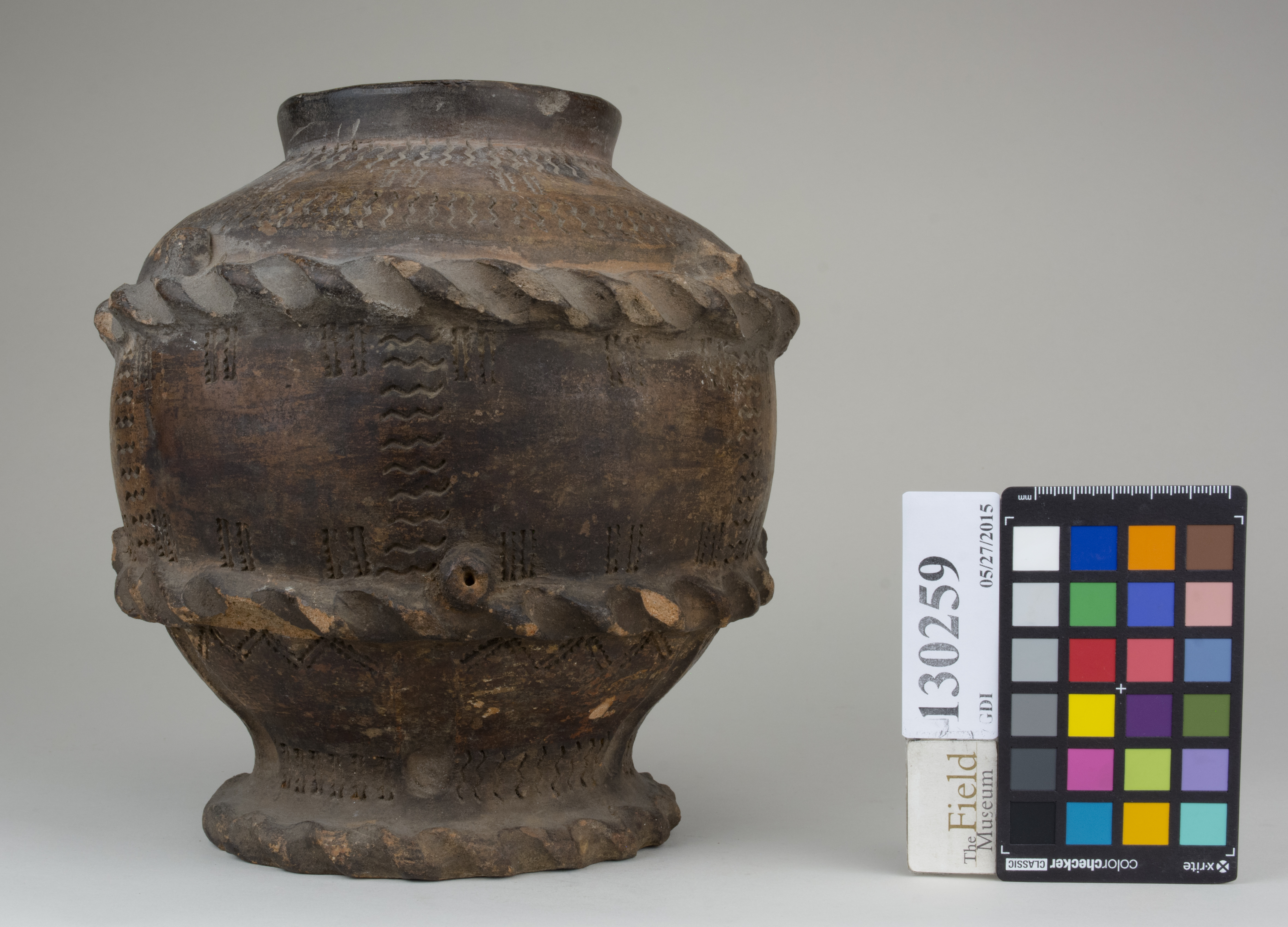 Front (c) Field Museum of Natural History - CC BY-NC 4.0