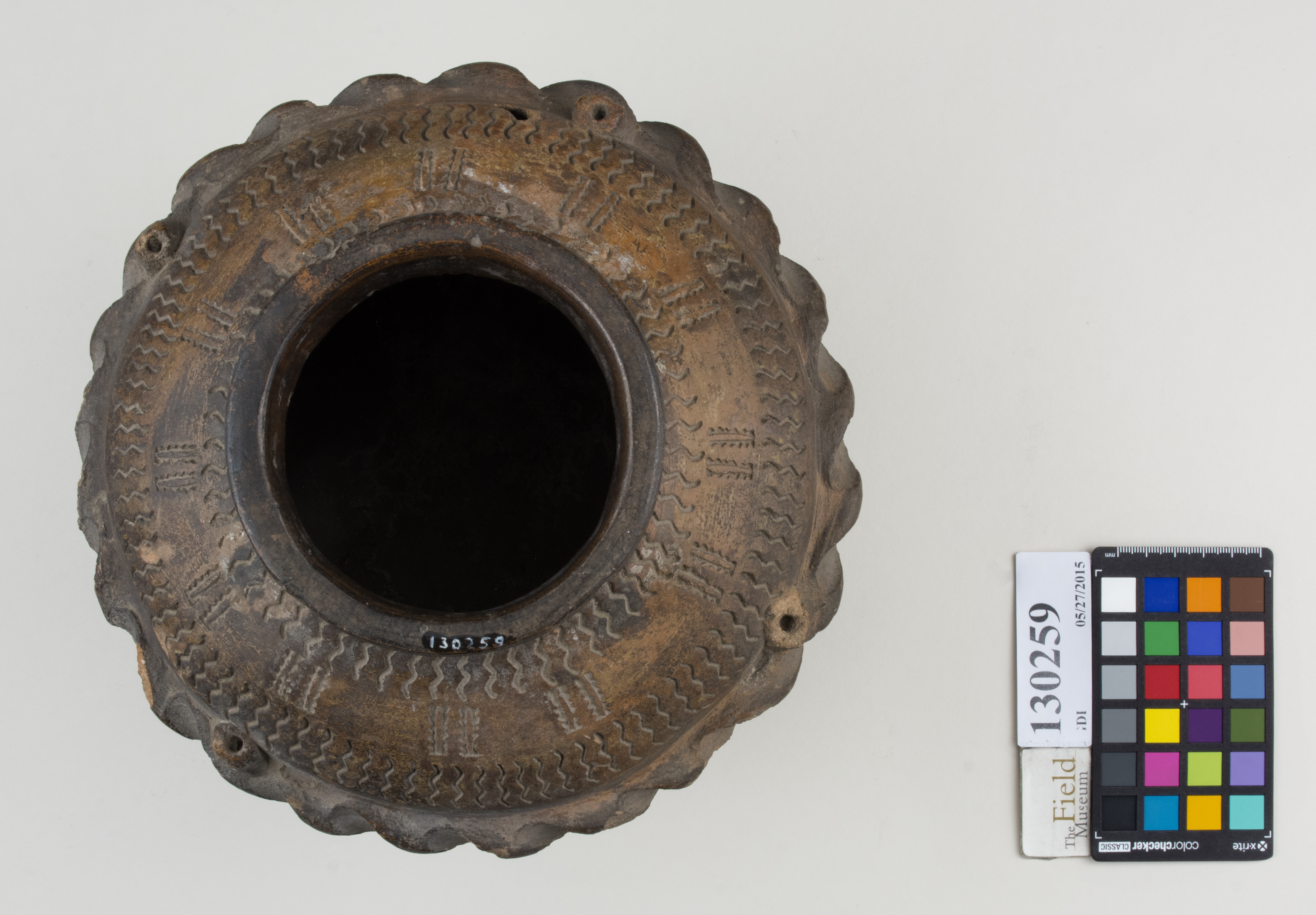 Top (c) Field Museum of Natural History - CC BY-NC 4.0