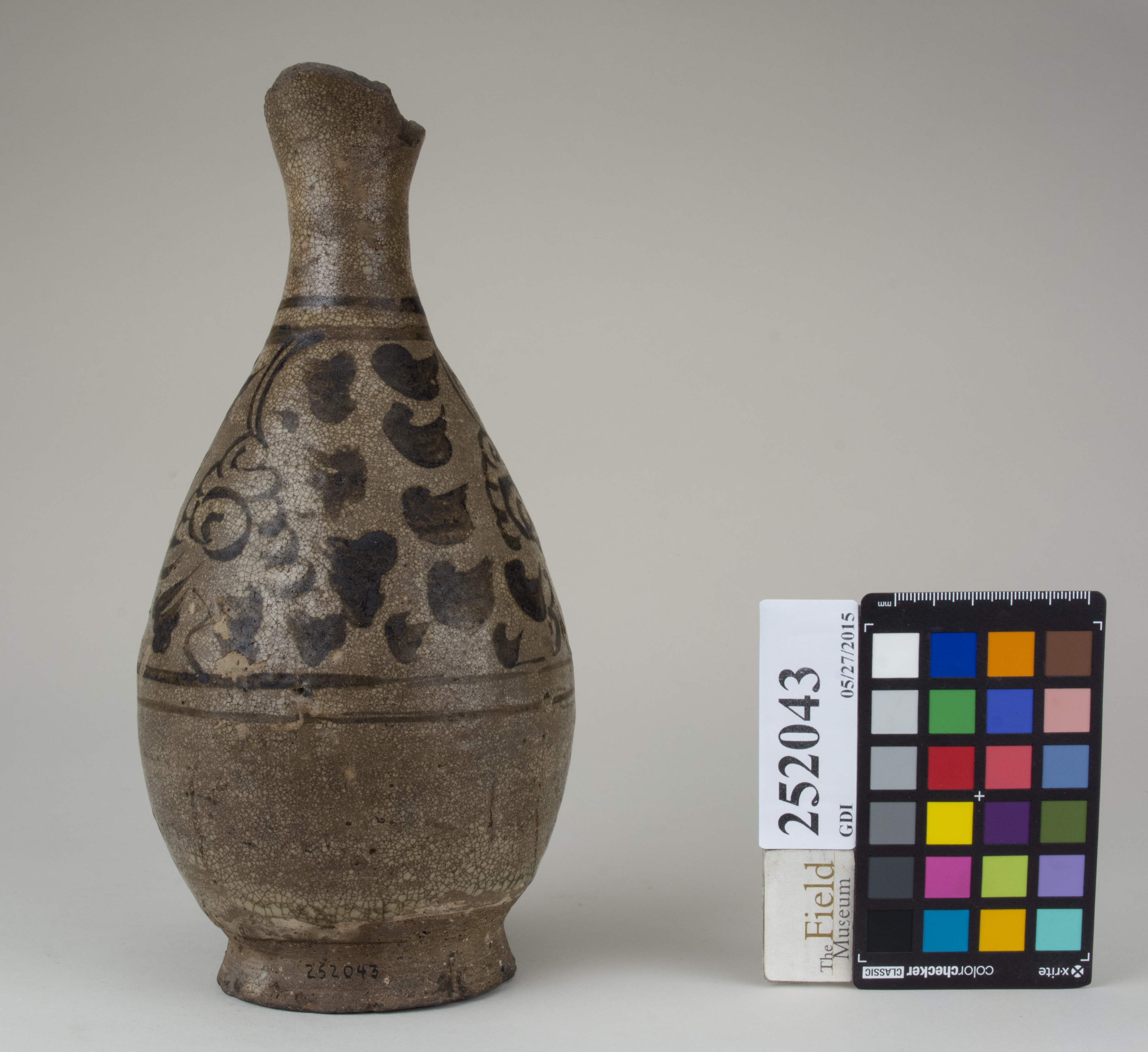 Front (c) Field Museum of Natural History - CC BY-NC 4.0