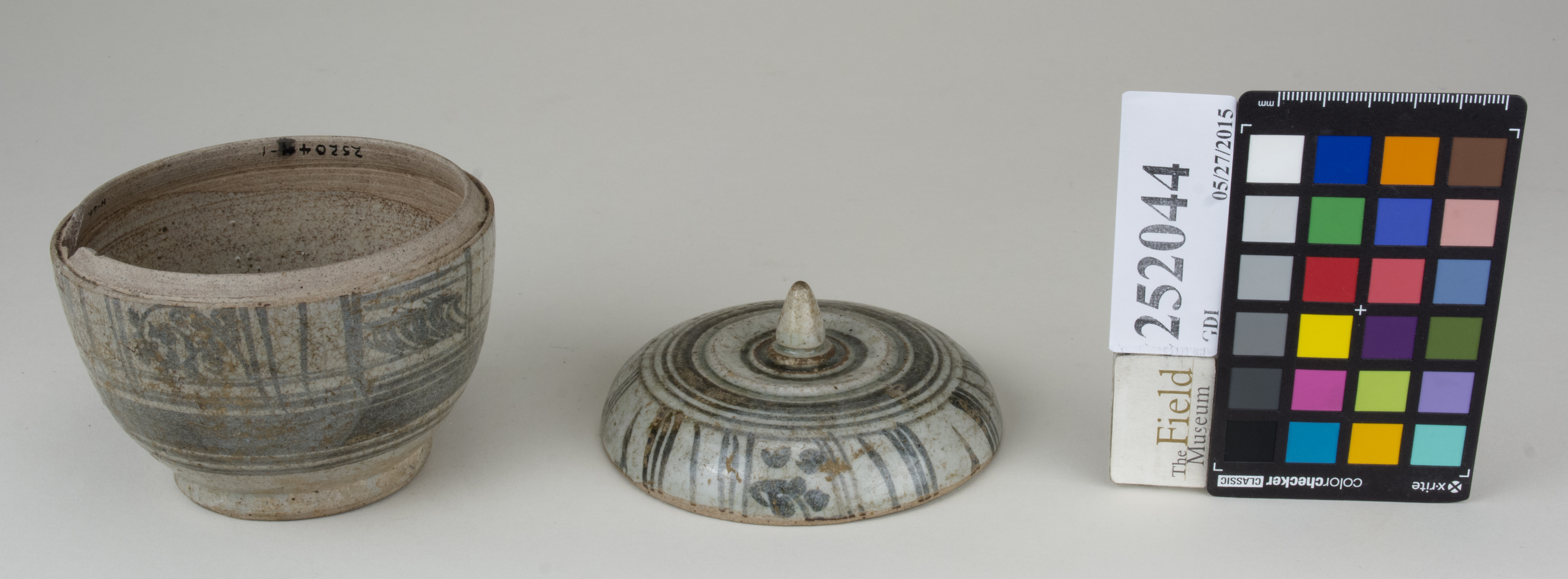 ParentFrontAngle (c) Field Museum of Natural History - CC BY-NC 4.0