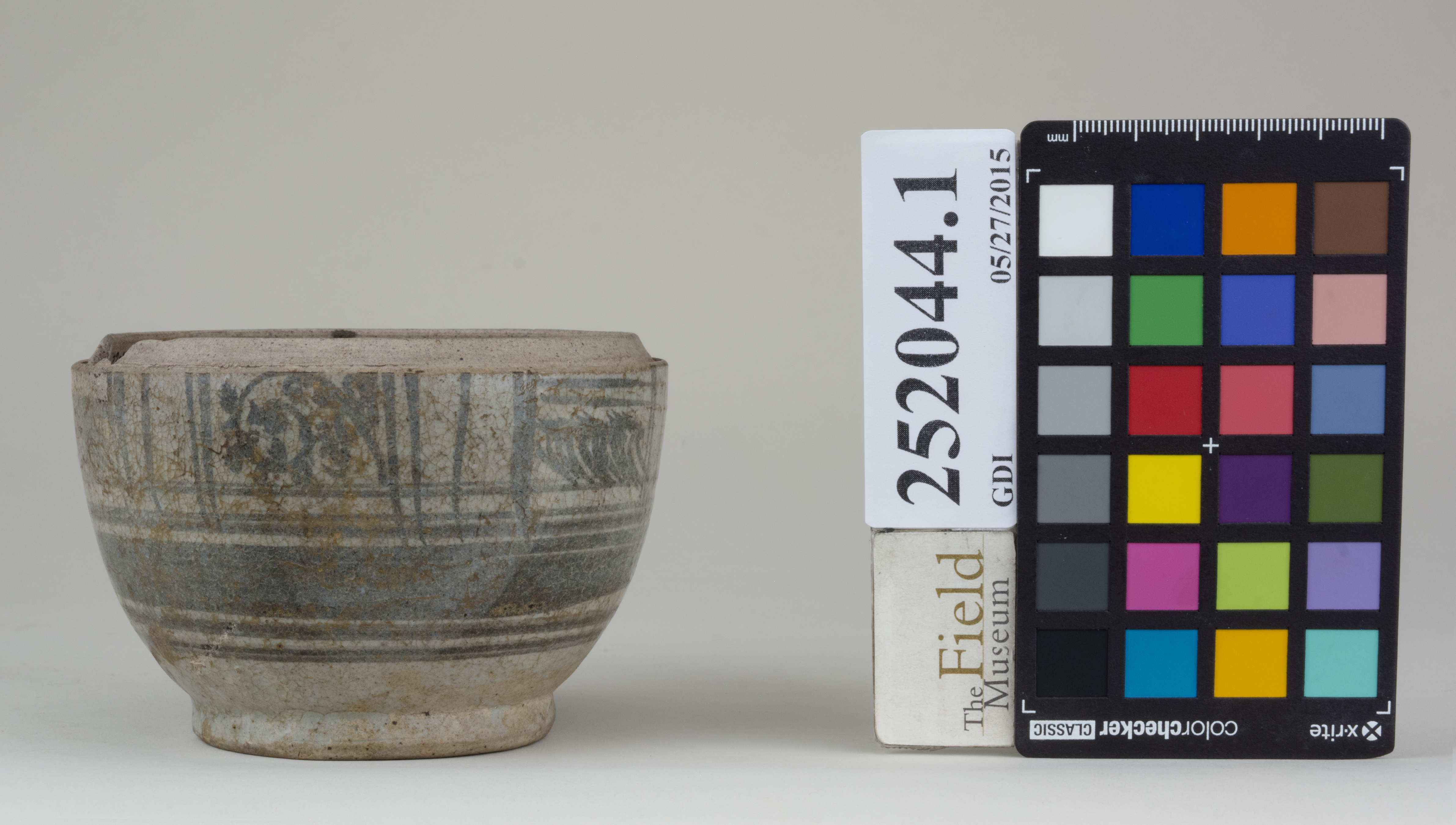 Front (c) Field Museum of Natural History - CC BY-NC 4.0