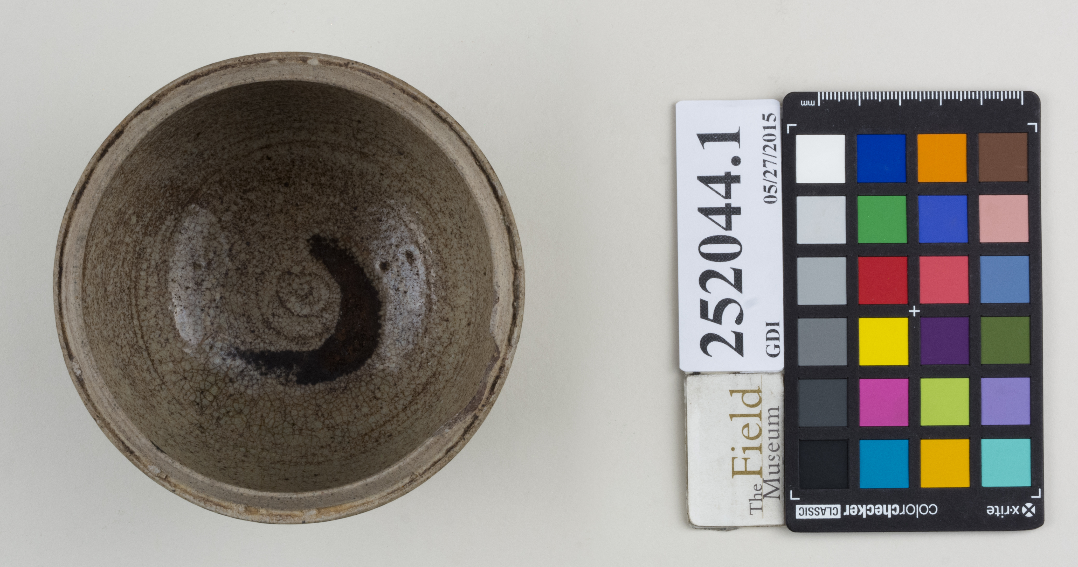 Top (c) Field Museum of Natural History - CC BY-NC 4.0