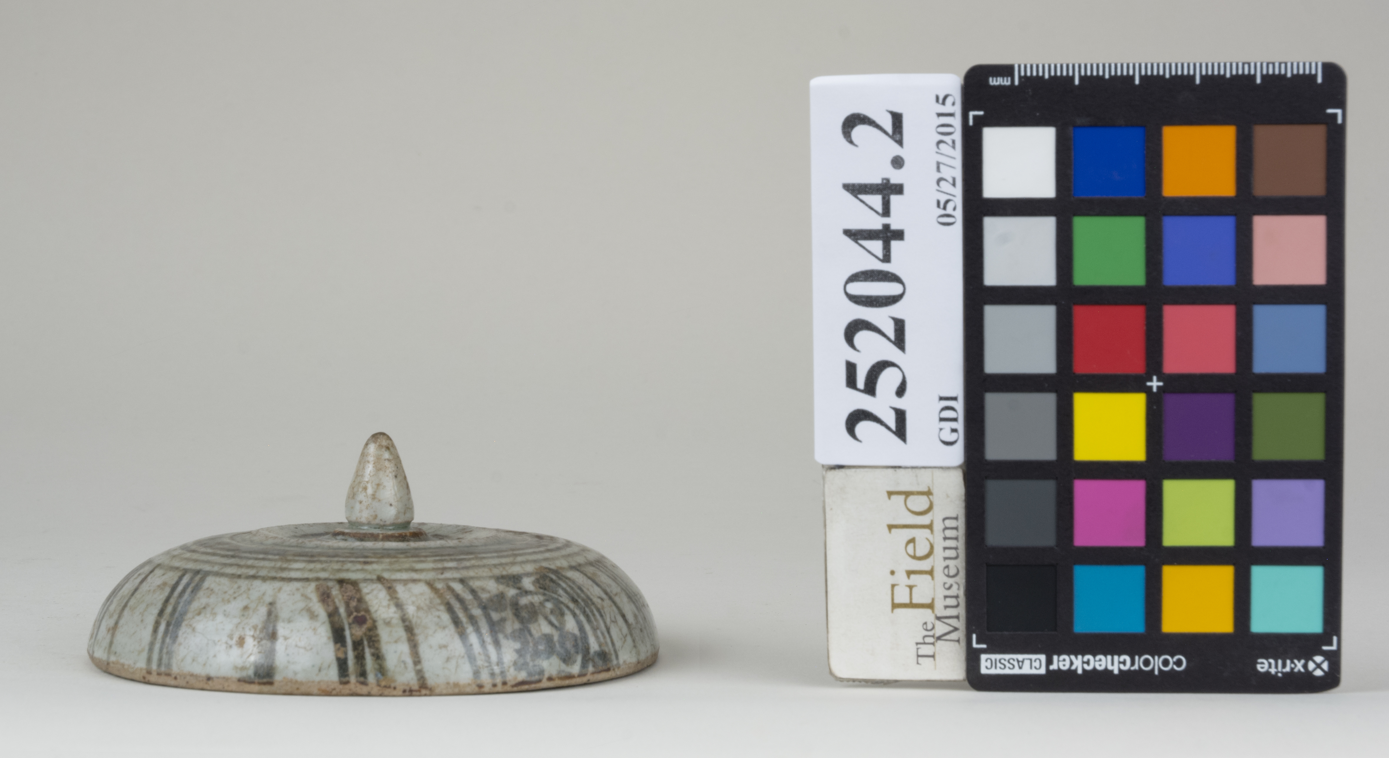 reference image, back (c) Field Museum of Natural History - CC BY-NC 4.0