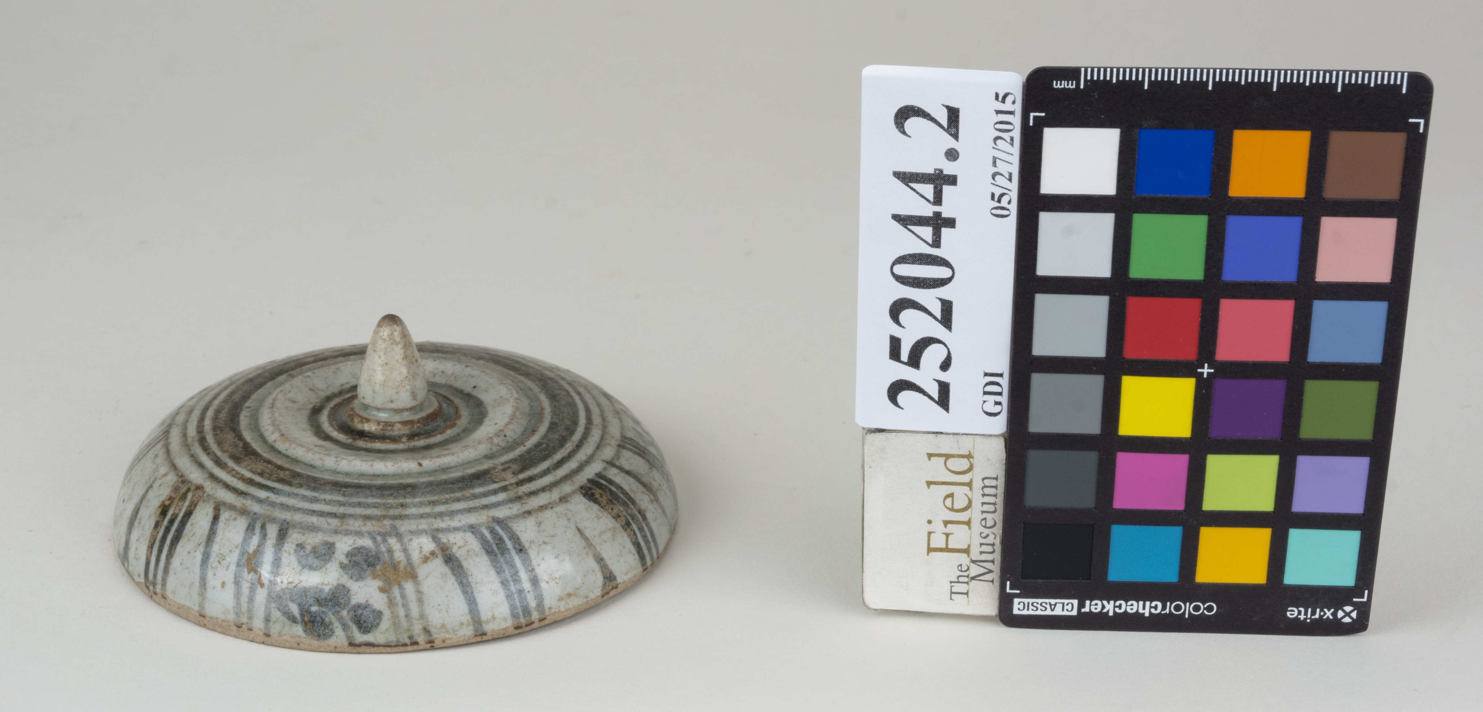 FrontAngle (c) Field Museum of Natural History - CC BY-NC 4.0