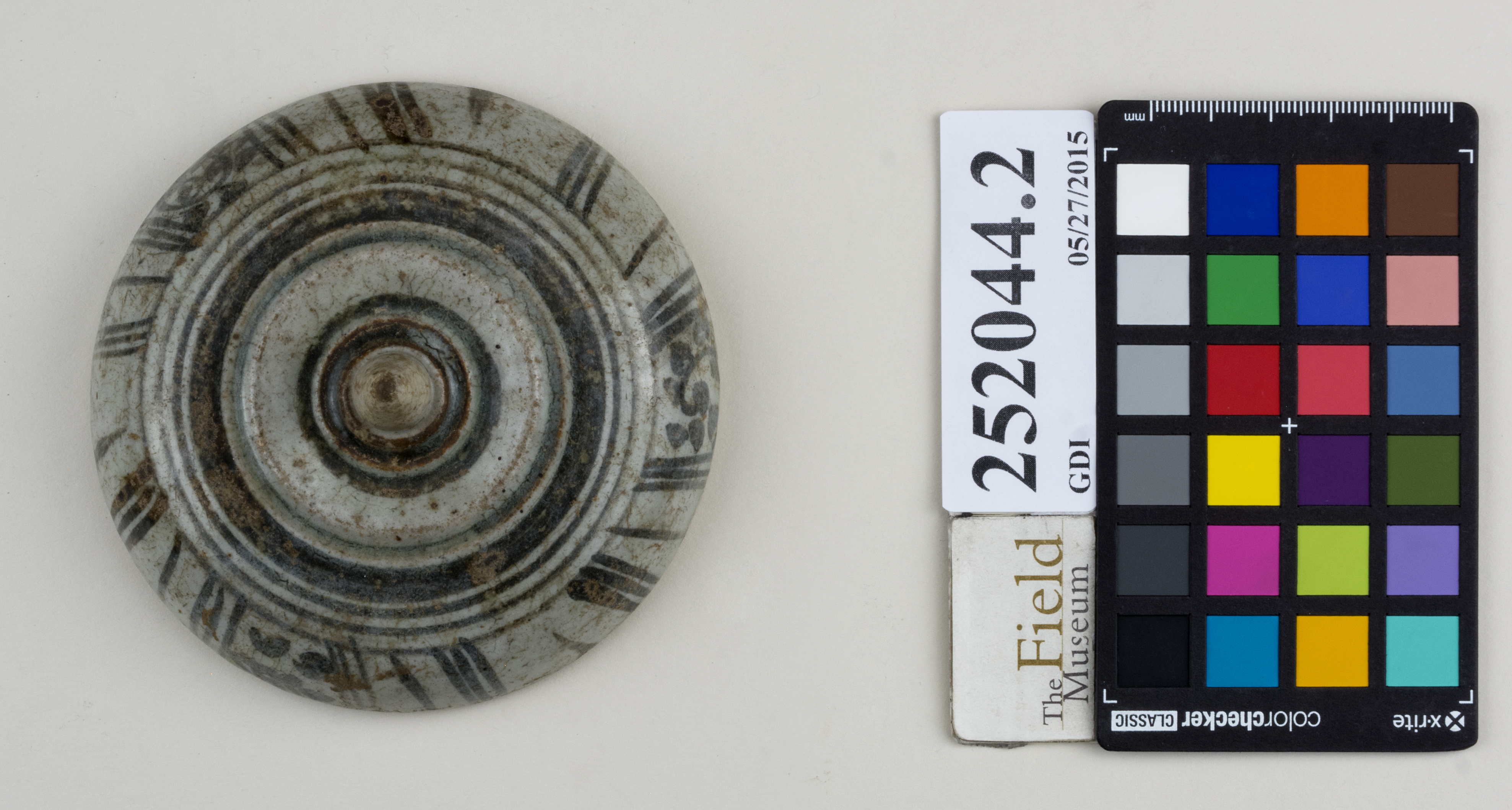 Top (c) Field Museum of Natural History - CC BY-NC 4.0