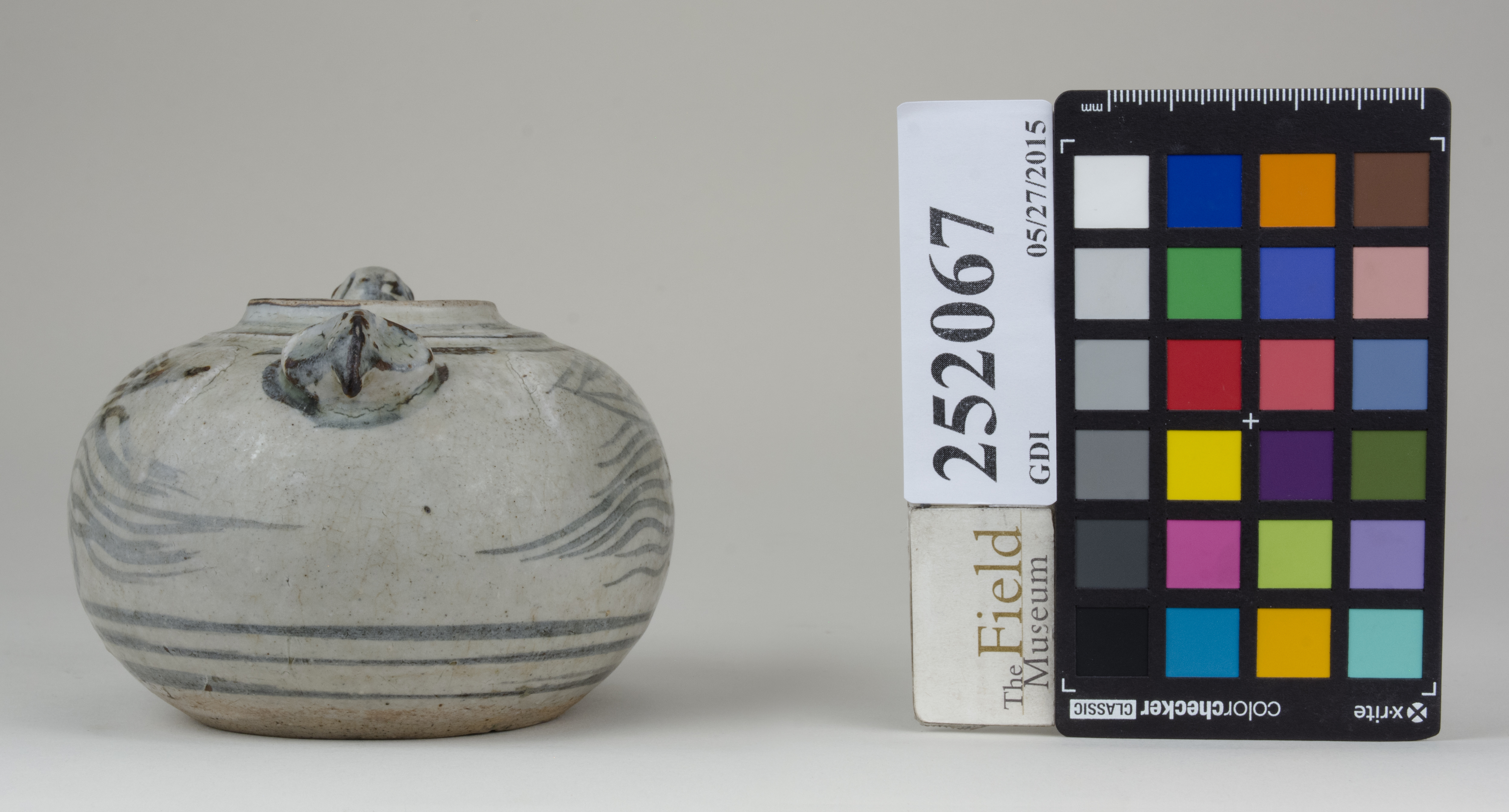 reference image, back (c) Field Museum of Natural History - CC BY-NC 4.0