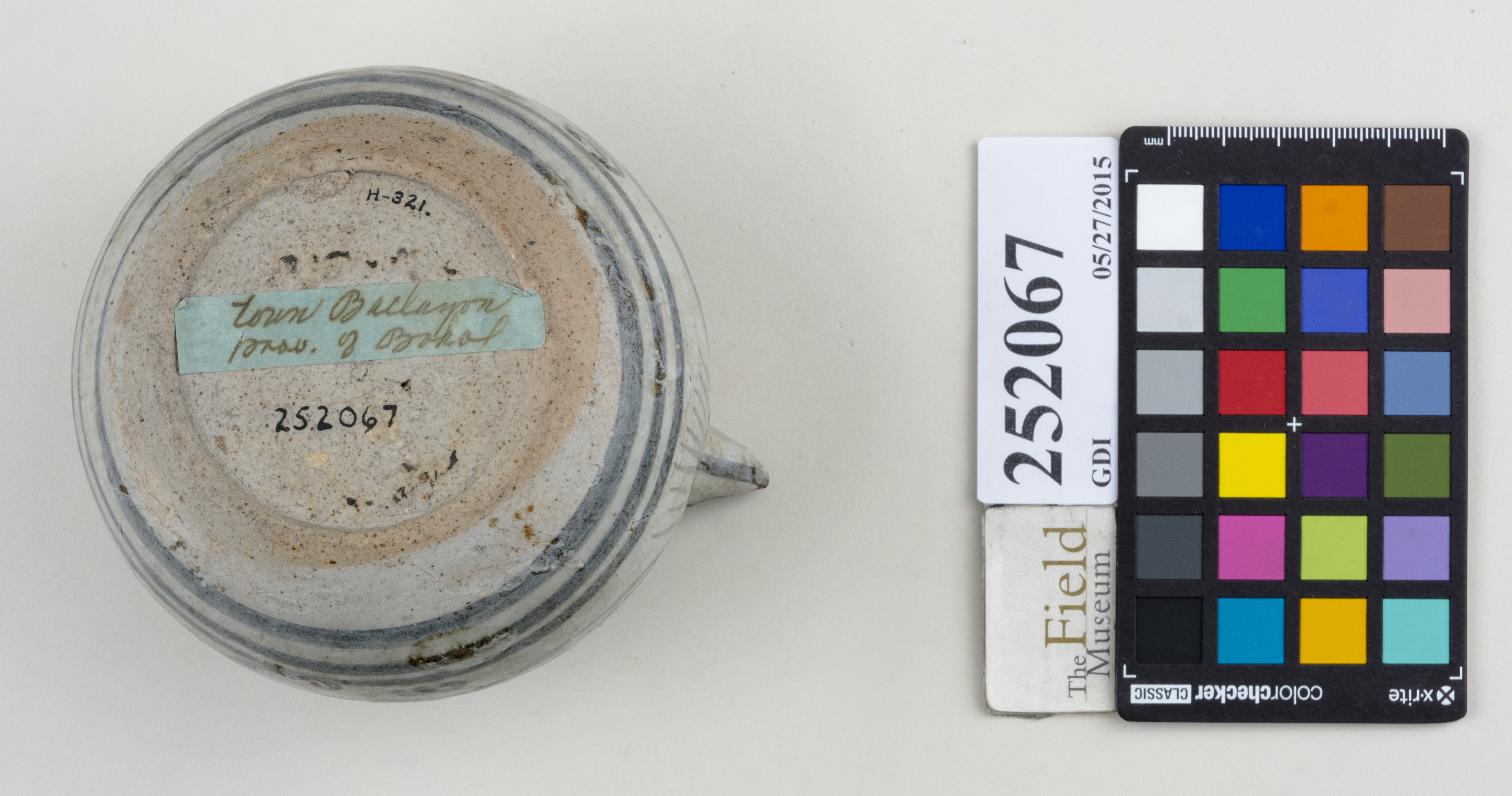 Bottom (c) Field Museum of Natural History - CC BY-NC 4.0