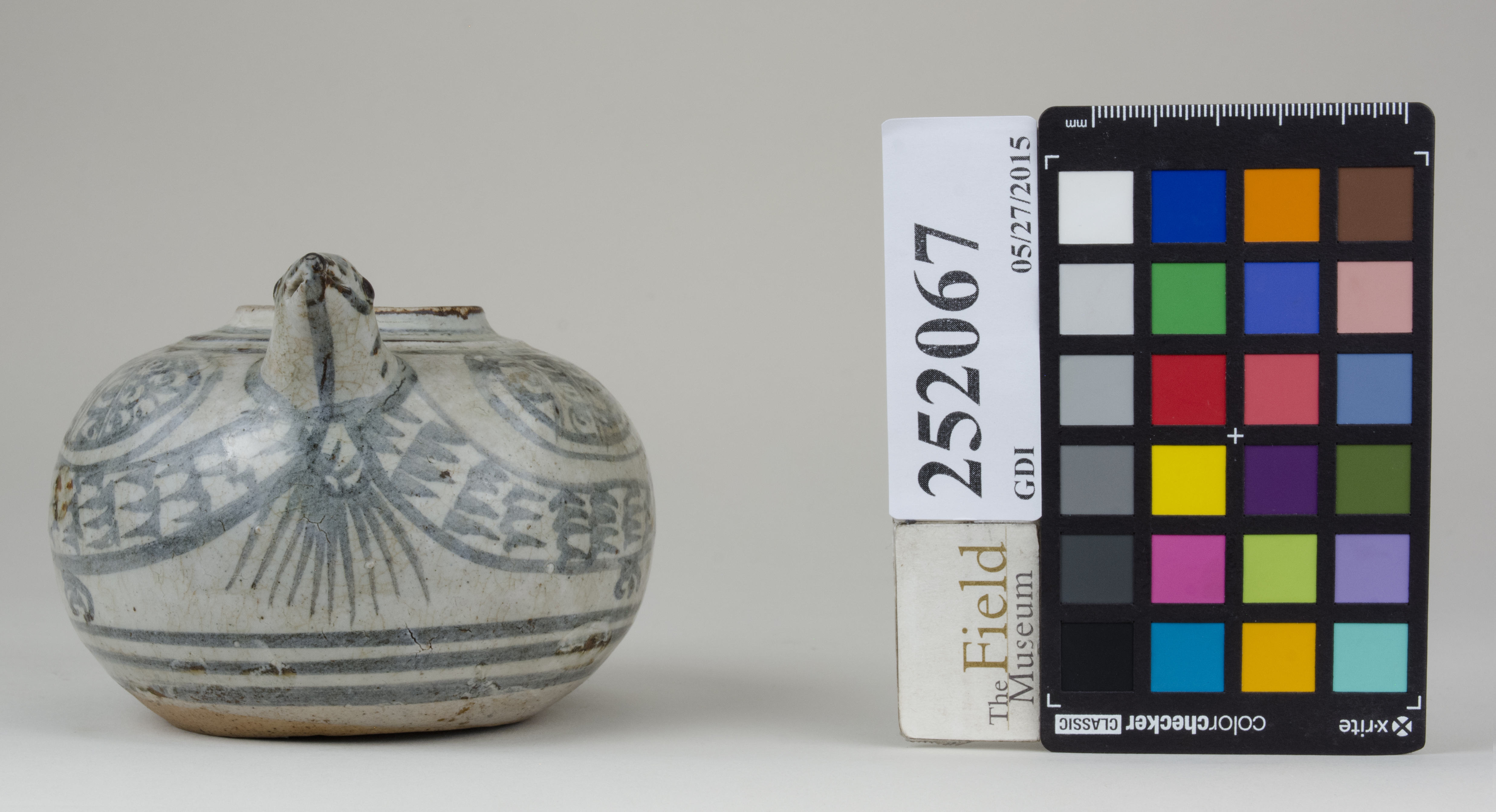 Front (c) Field Museum of Natural History - CC BY-NC 4.0