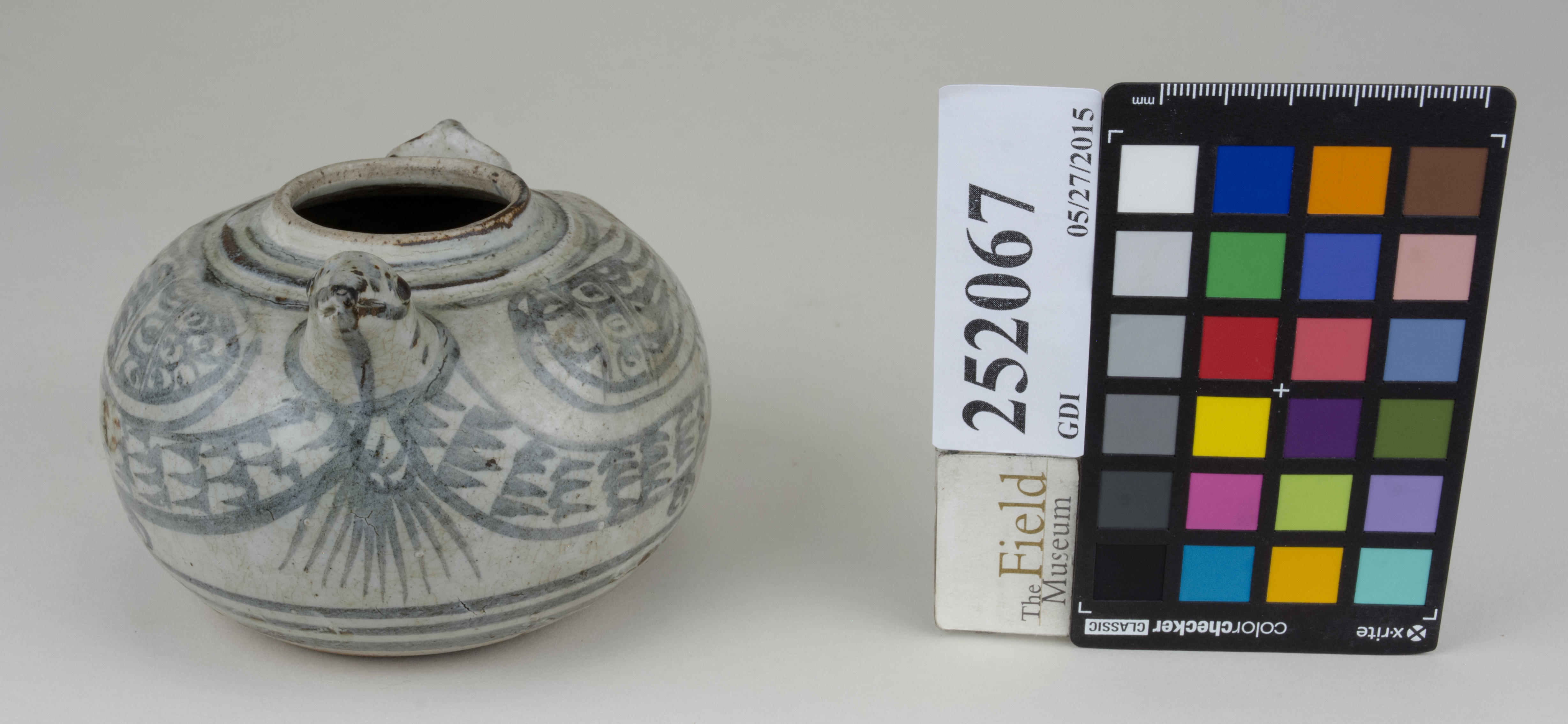 FrontAngle (c) Field Museum of Natural History - CC BY-NC 4.0