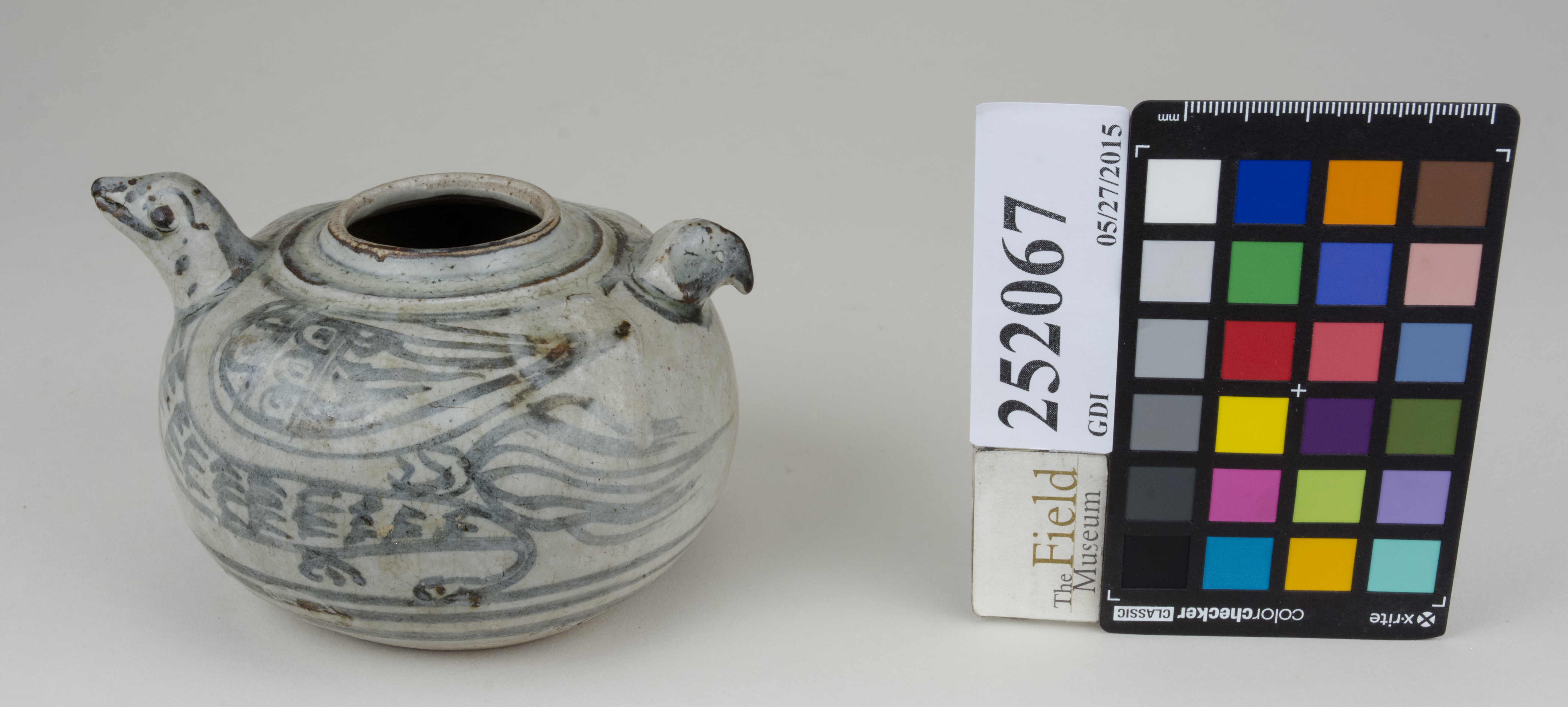 LeftAngle (c) Field Museum of Natural History - CC BY-NC 4.0