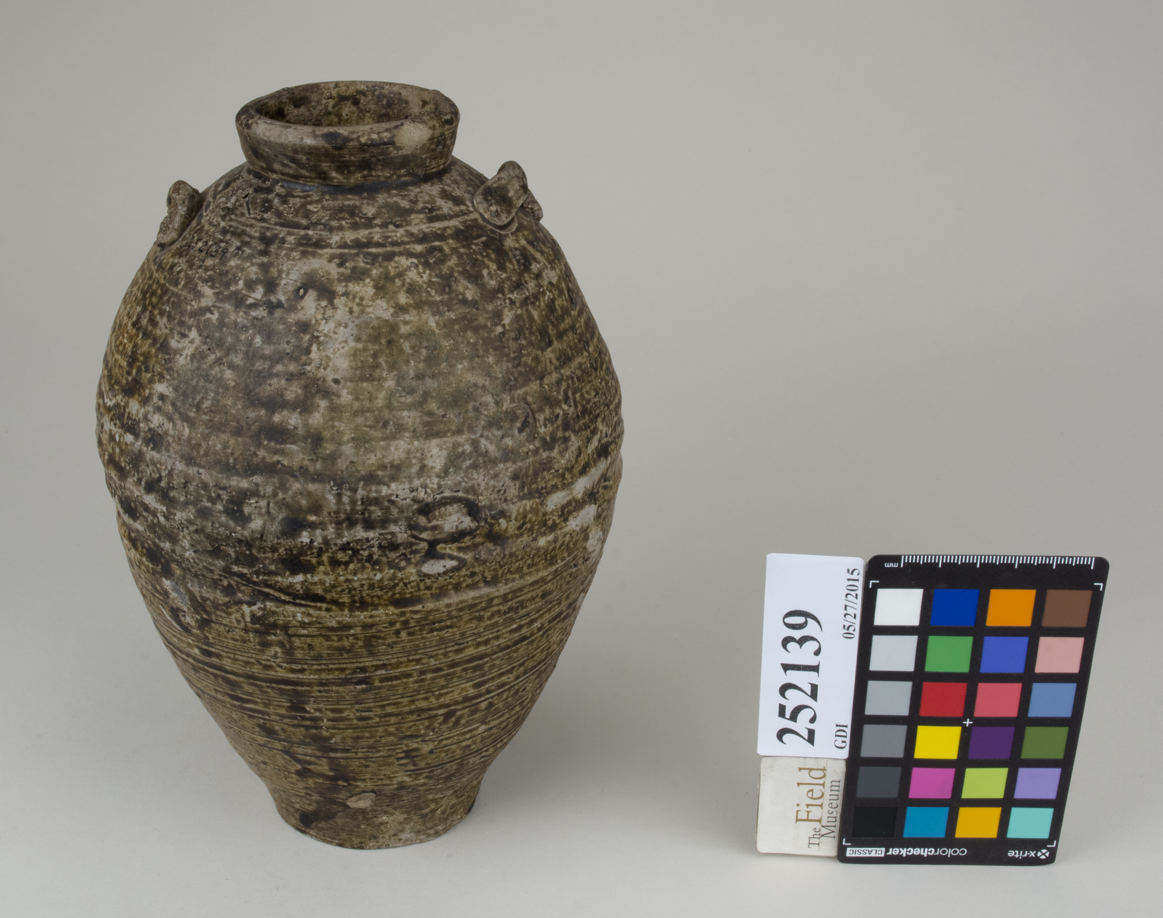 FrontAngle (c) Field Museum of Natural History - CC BY-NC 4.0