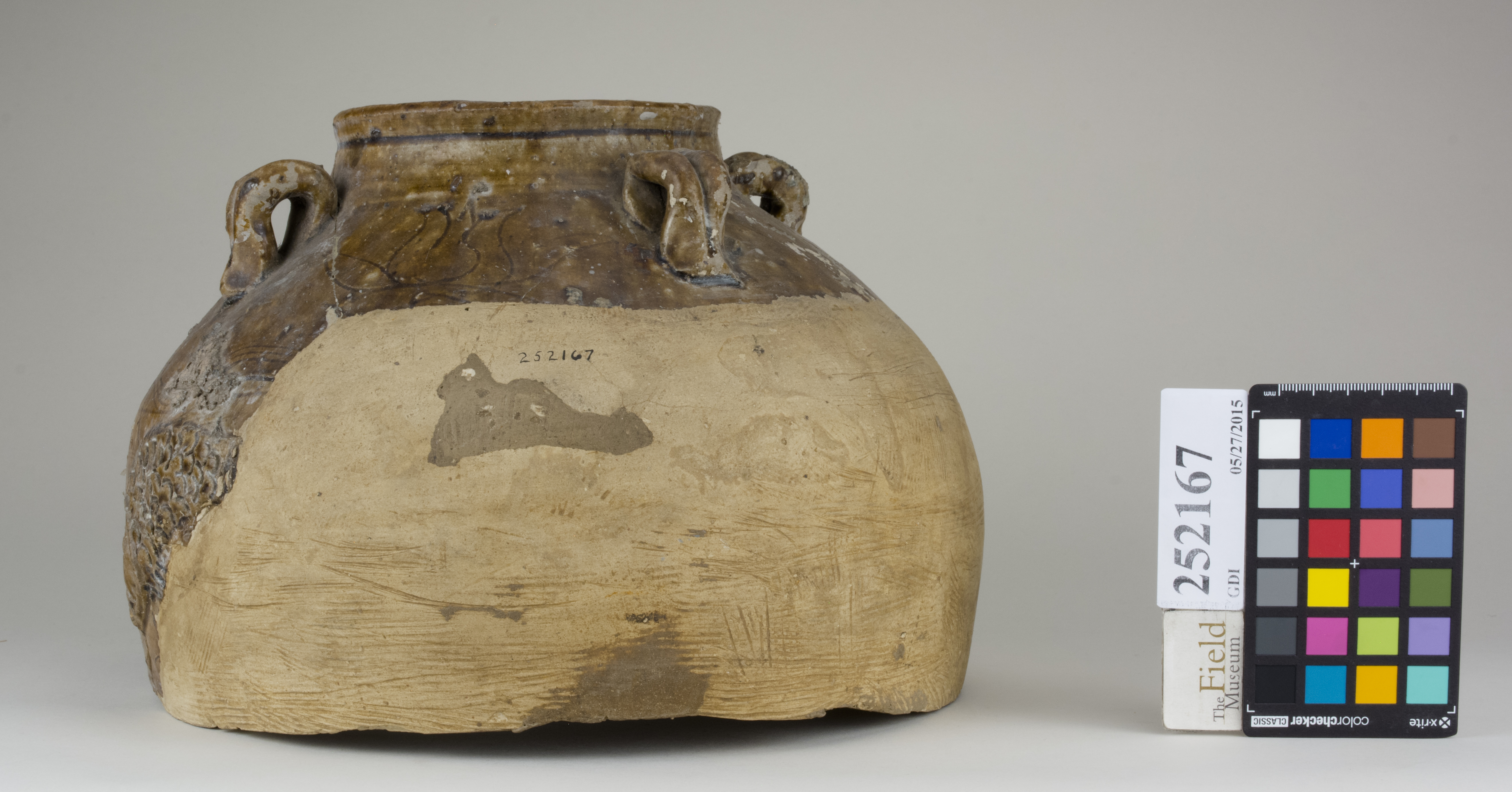 Front (c) Field Museum of Natural History - CC BY-NC 4.0