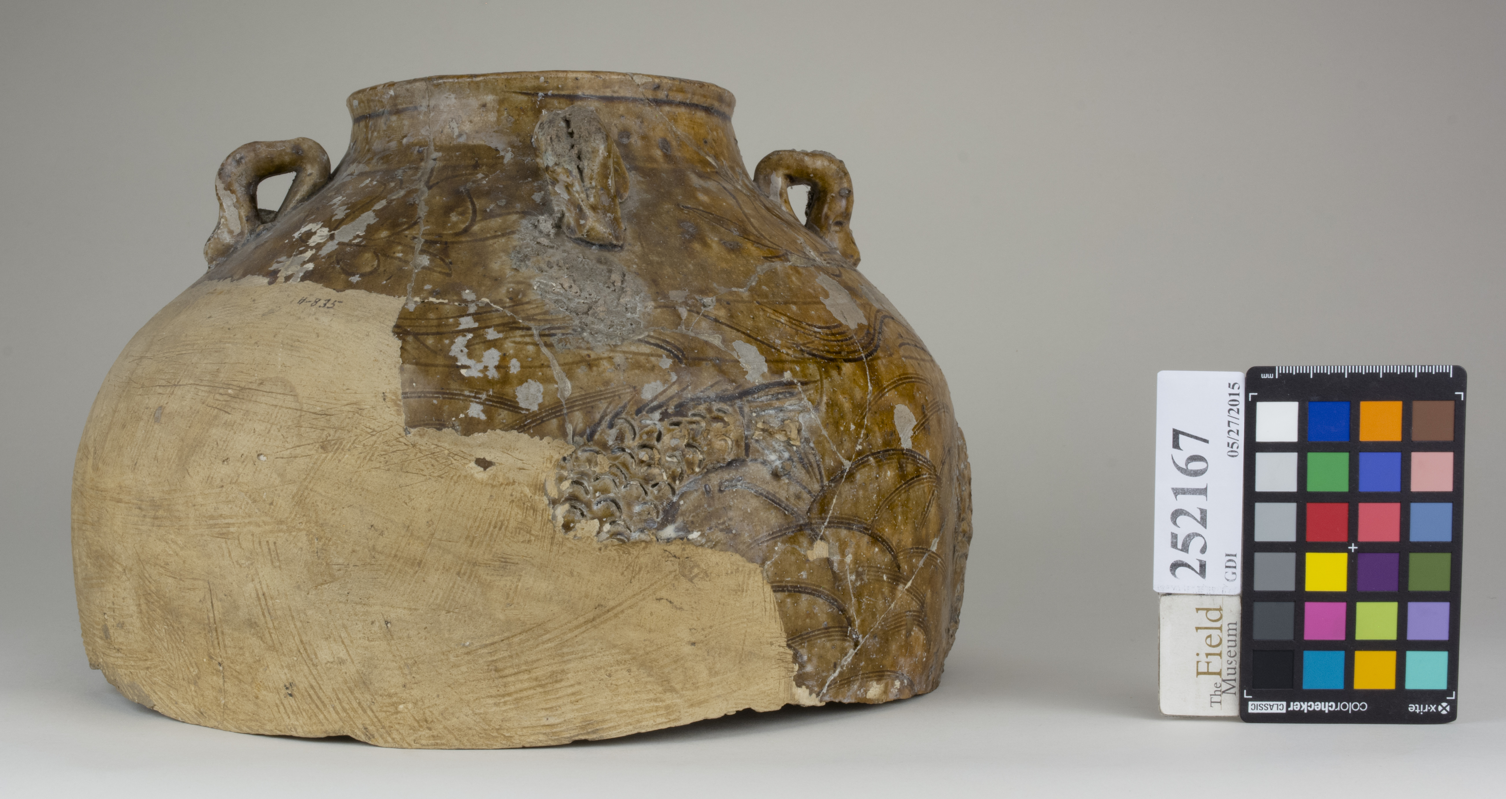 Left (c) Field Museum of Natural History - CC BY-NC 4.0