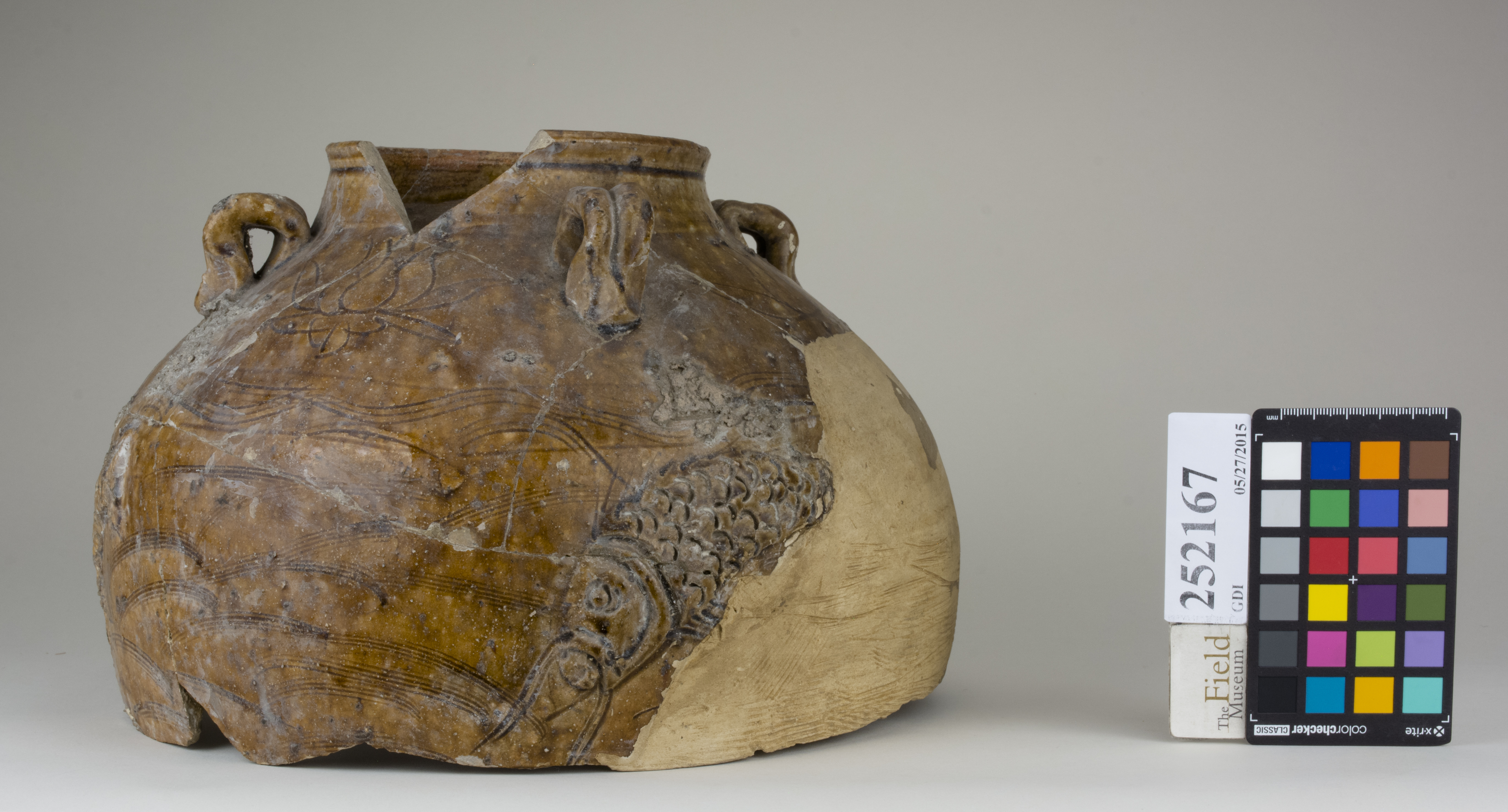 Right (c) Field Museum of Natural History - CC BY-NC 4.0