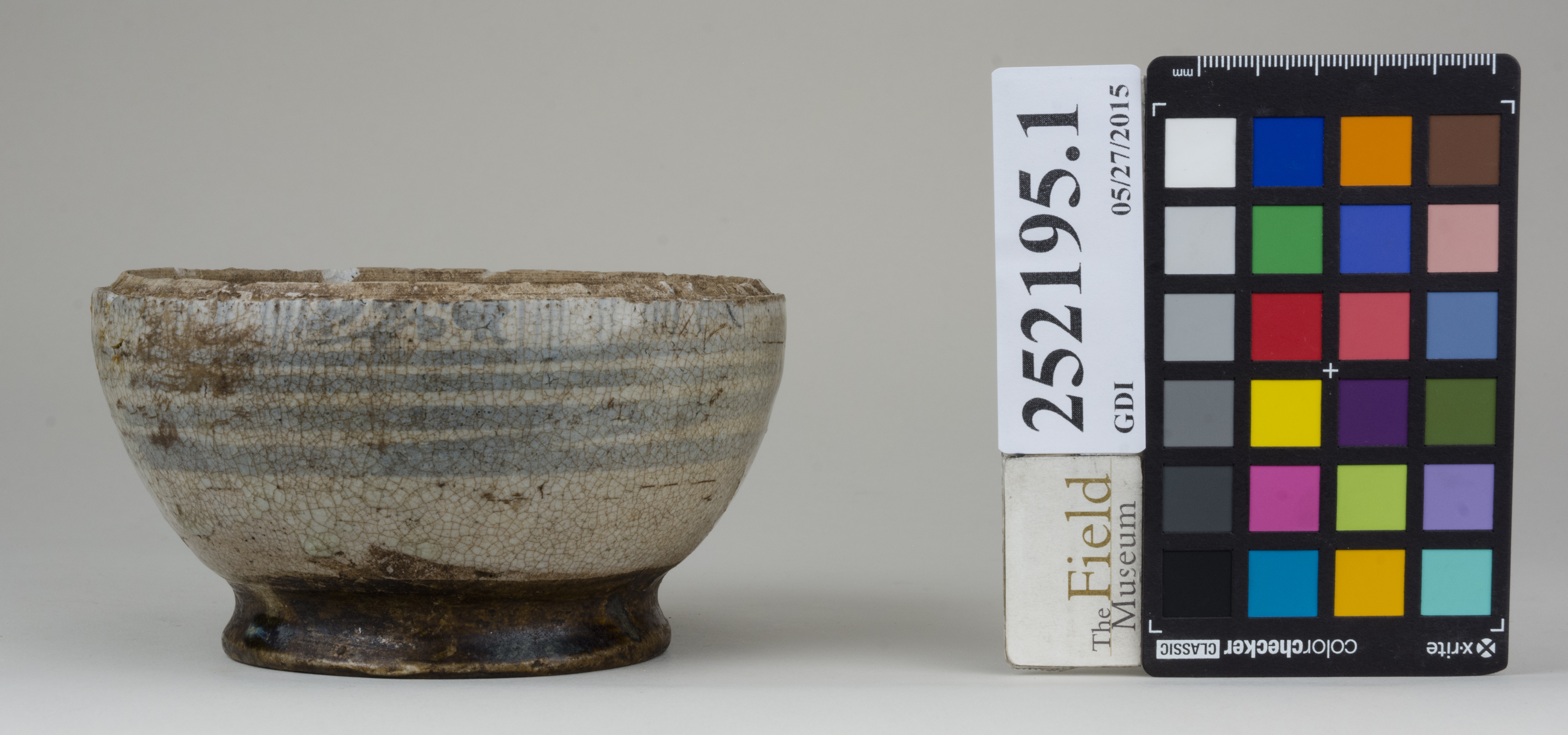 Front (c) Field Museum of Natural History - CC BY-NC 4.0