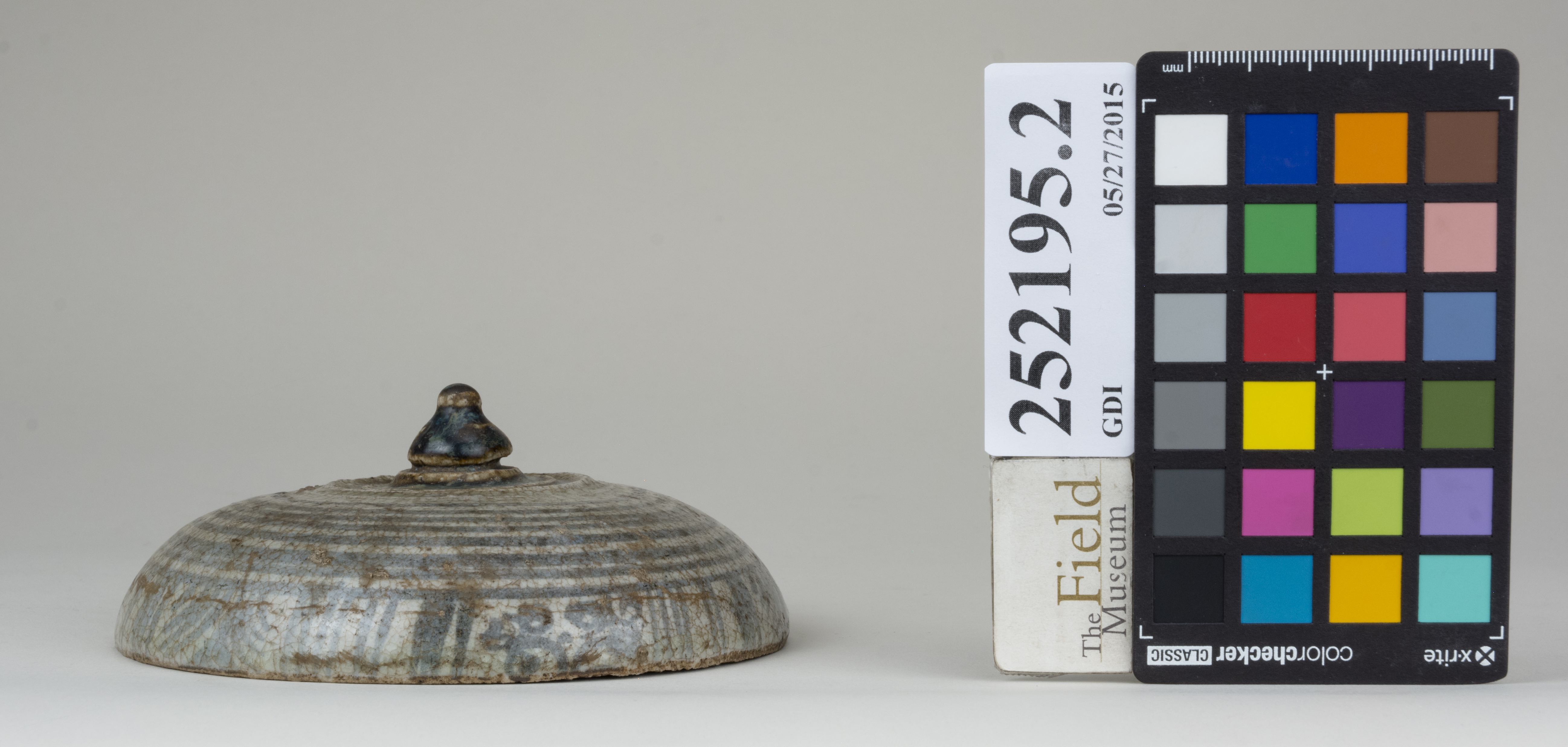 reference image, back (c) Field Museum of Natural History - CC BY-NC 4.0