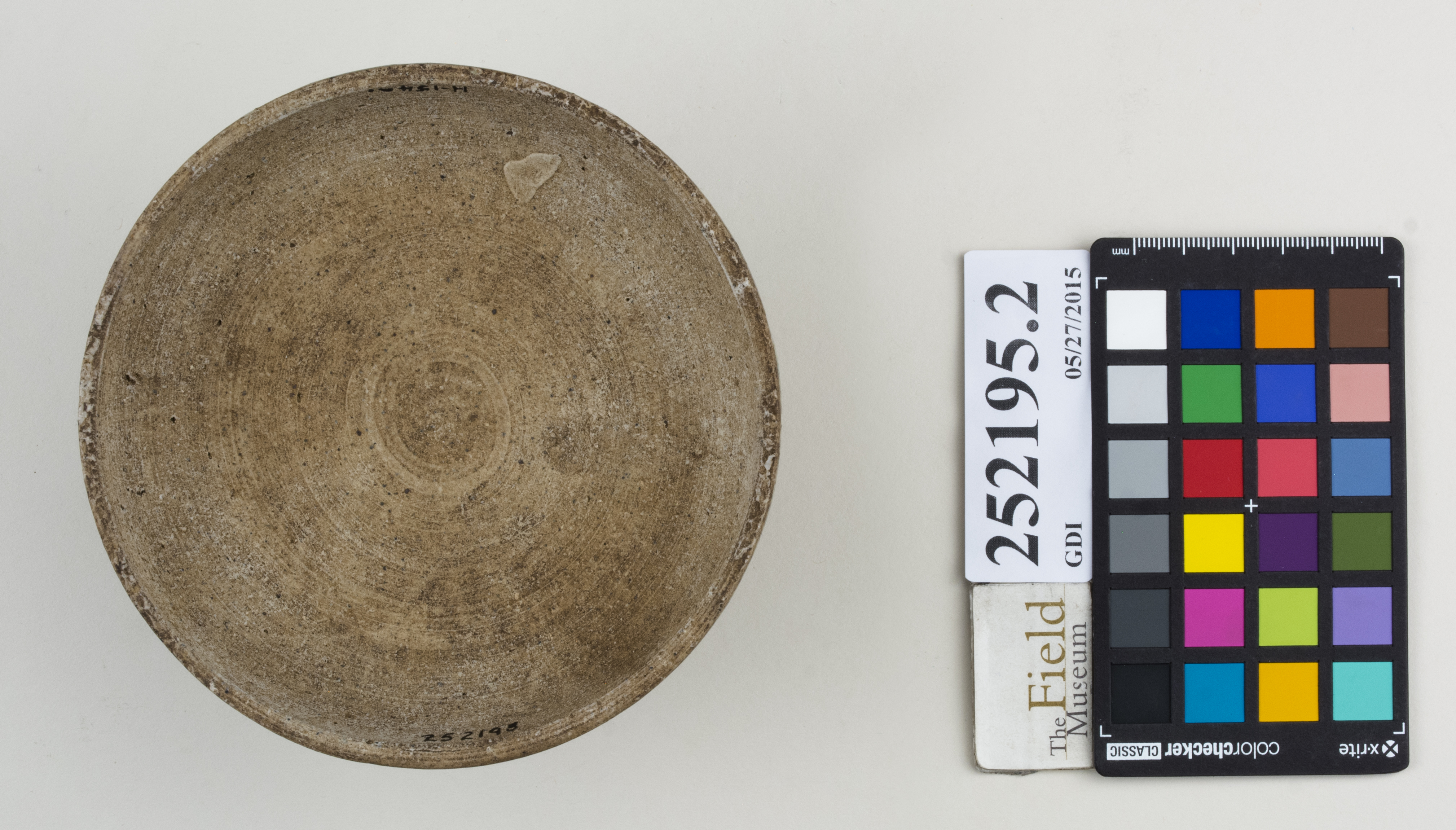 Bottom (c) Field Museum of Natural History - CC BY-NC 4.0