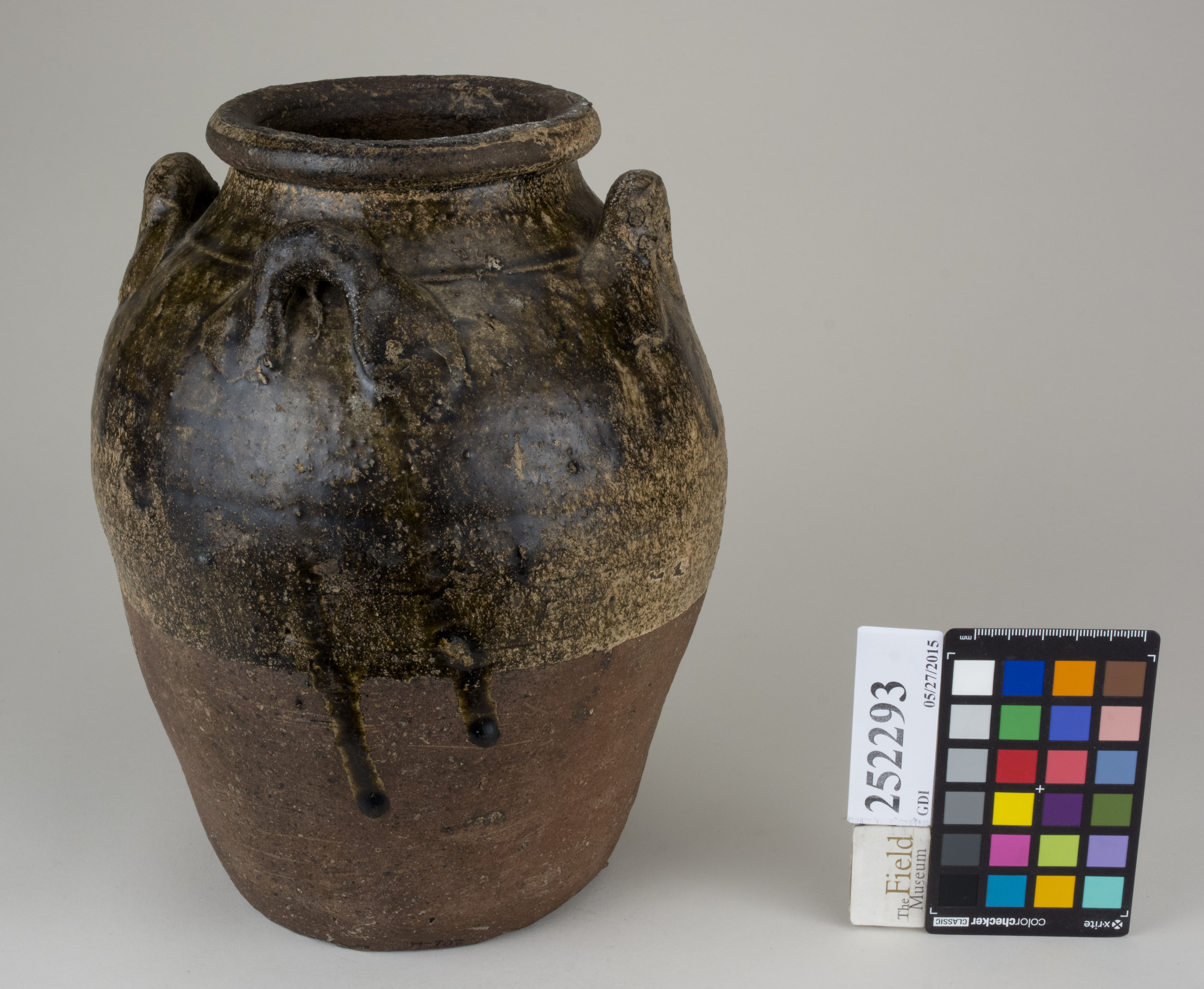 FrontAngle (c) Field Museum of Natural History - CC BY-NC 4.0