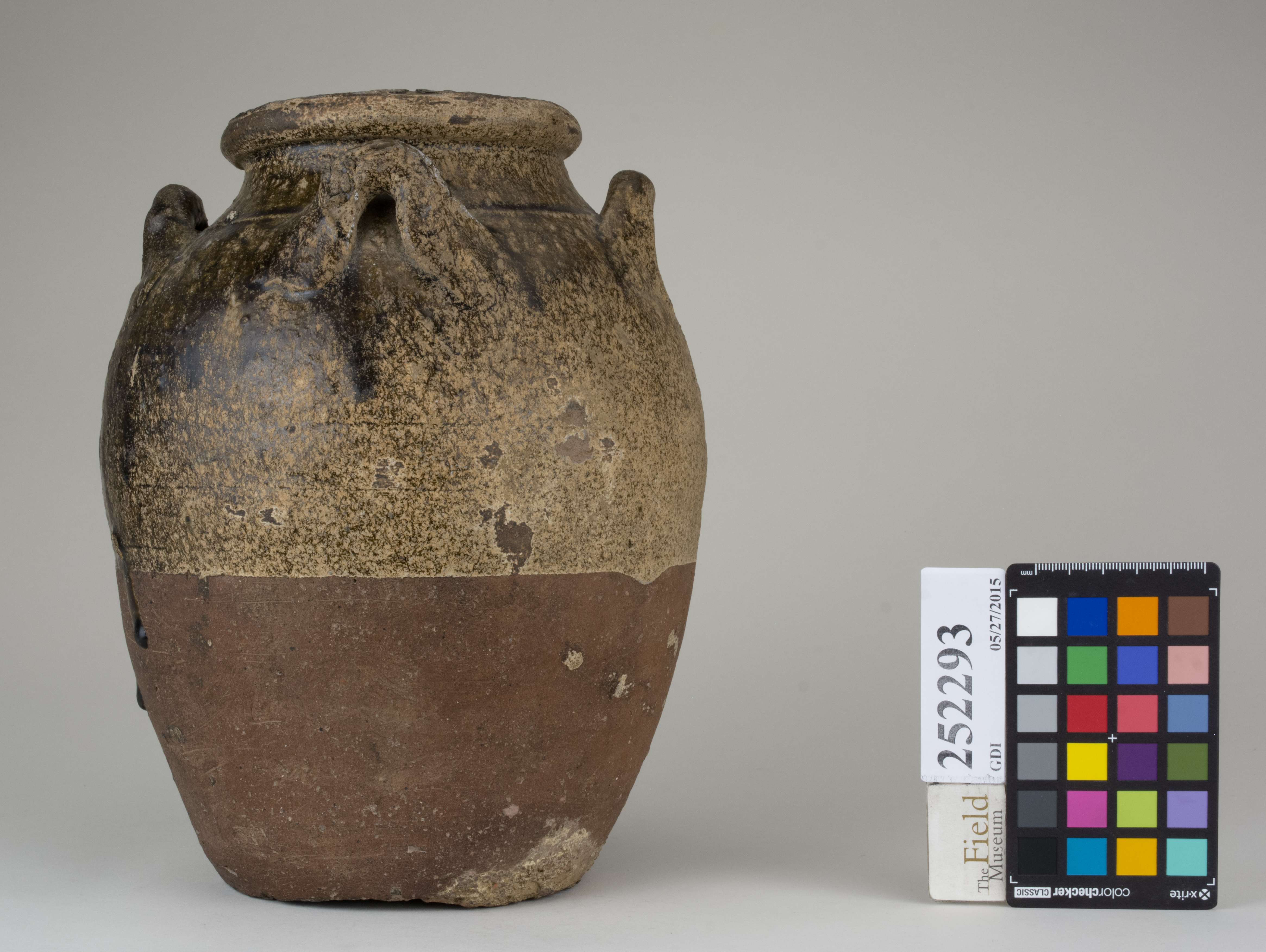 Left (c) Field Museum of Natural History - CC BY-NC 4.0