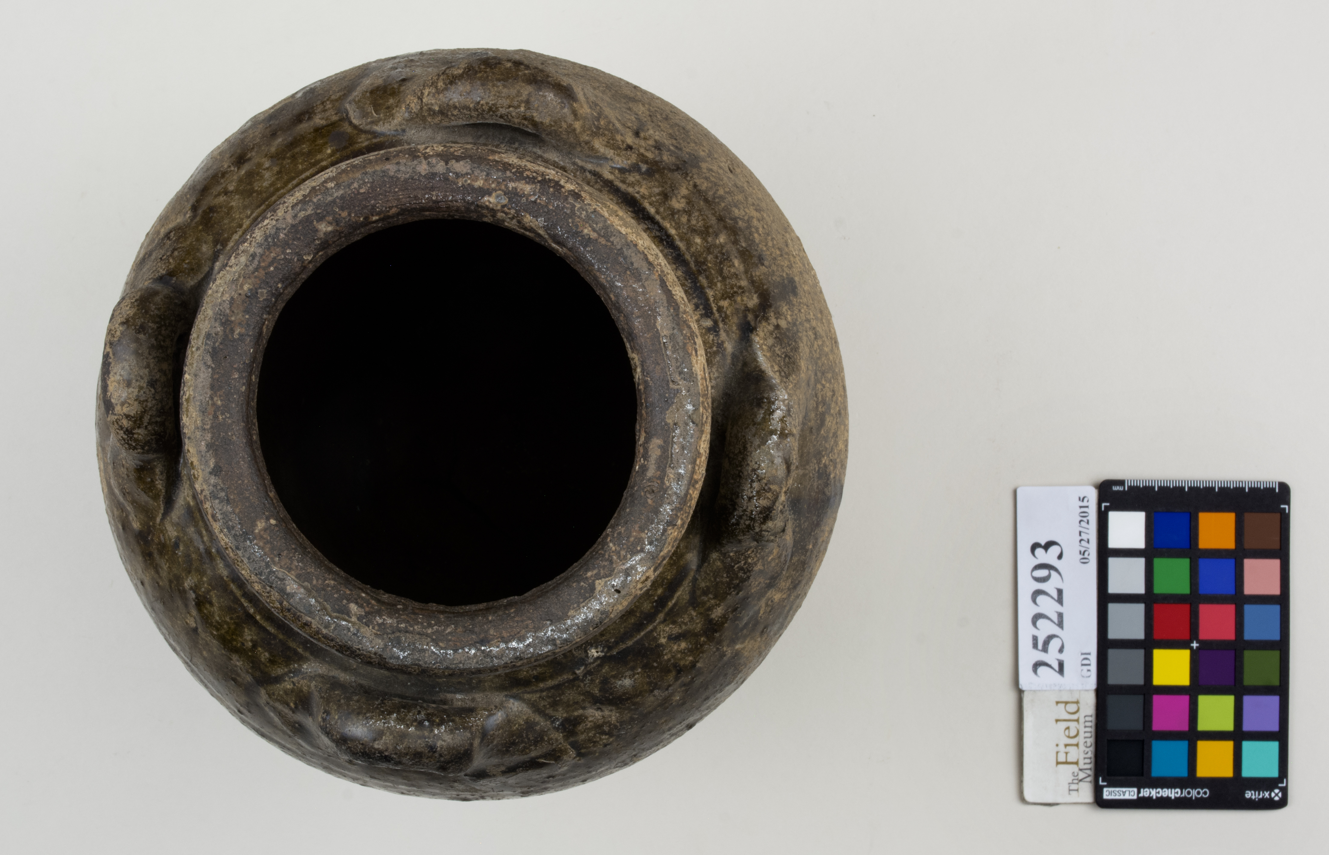 Top (c) Field Museum of Natural History - CC BY-NC 4.0