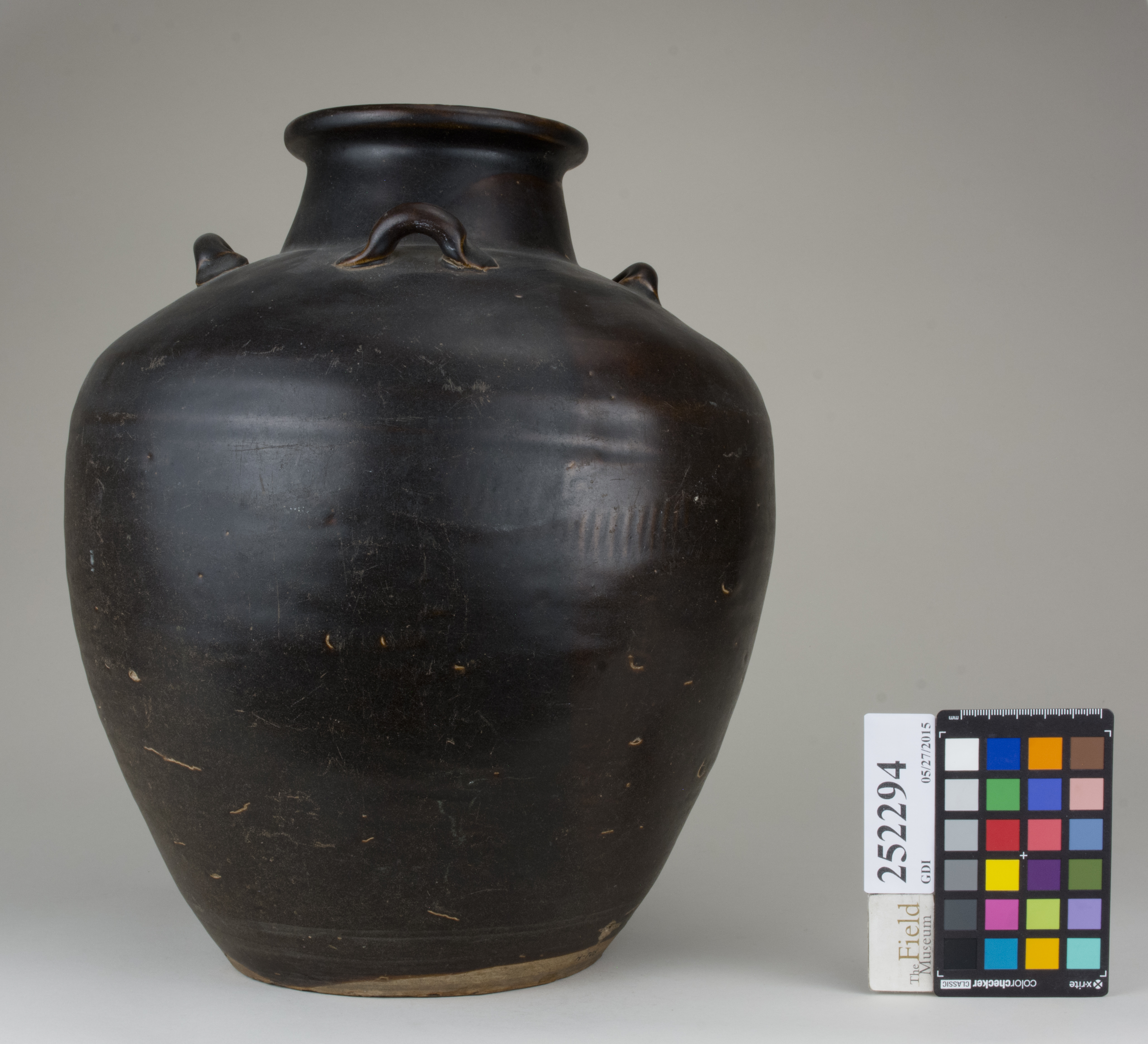 reference image, back (c) Field Museum of Natural History - CC BY-NC 4.0